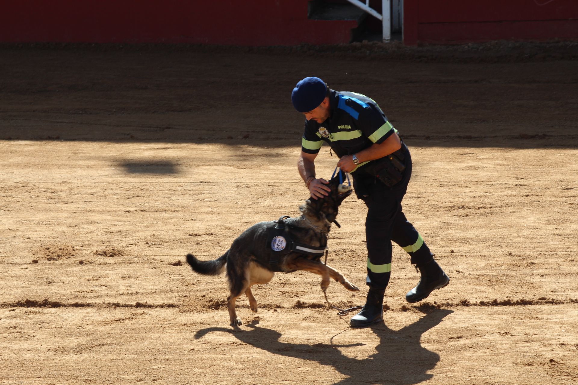 Exhibición de perros de la Policía Local