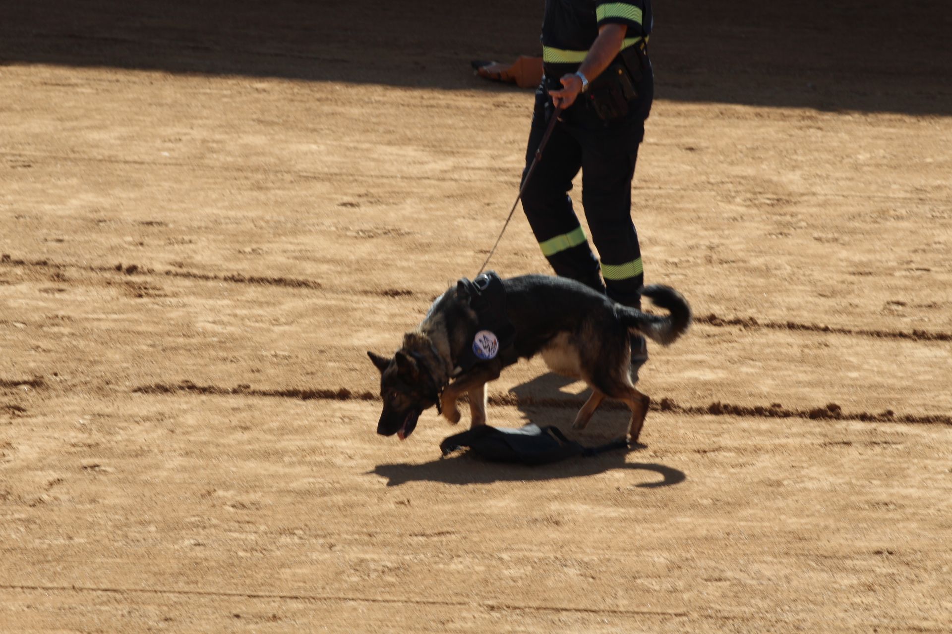 Exhibición de perros de la Policía Local