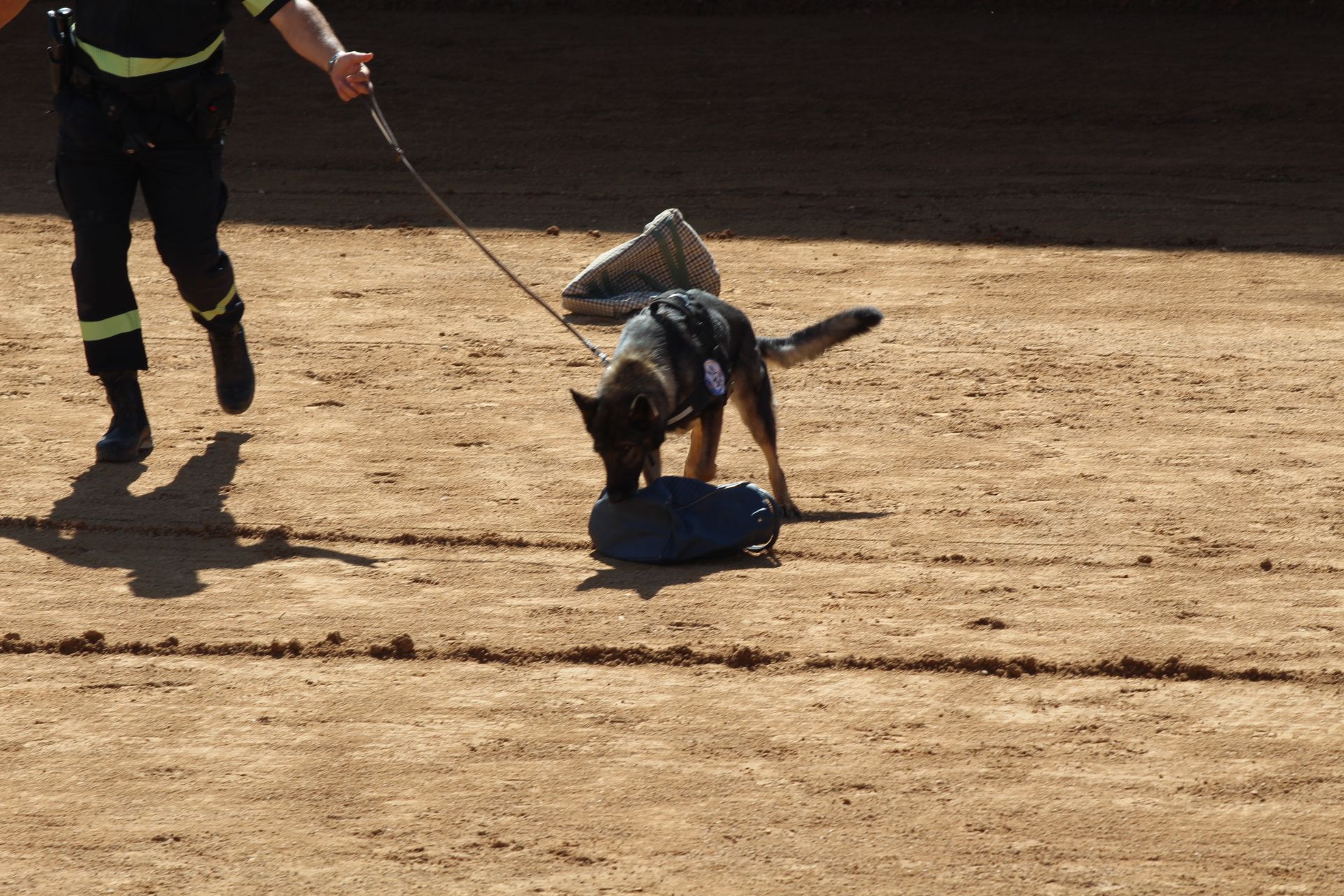 Exhibición de perros de la Policía Local