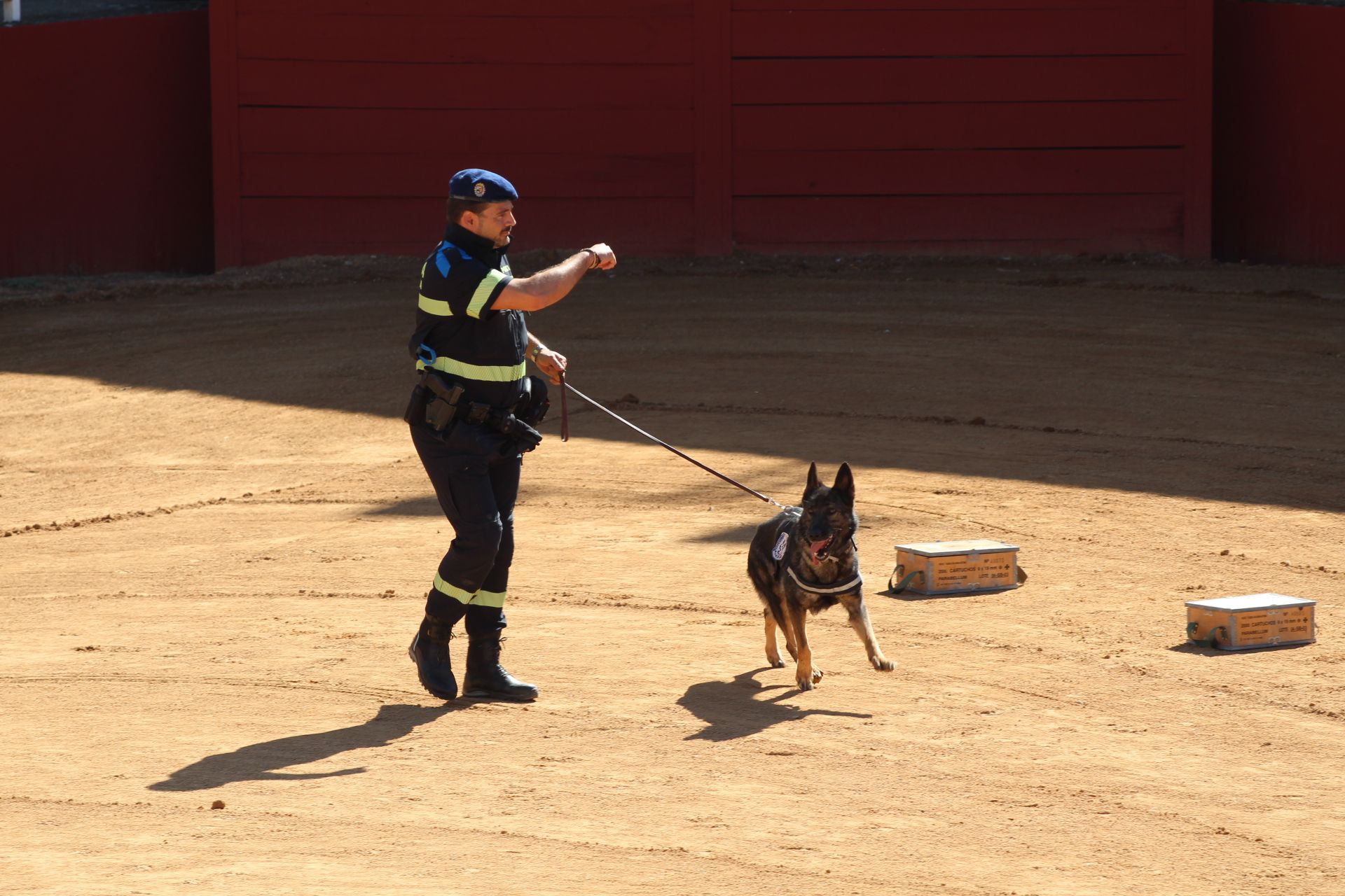 Exhibición de perros de la Policía Local