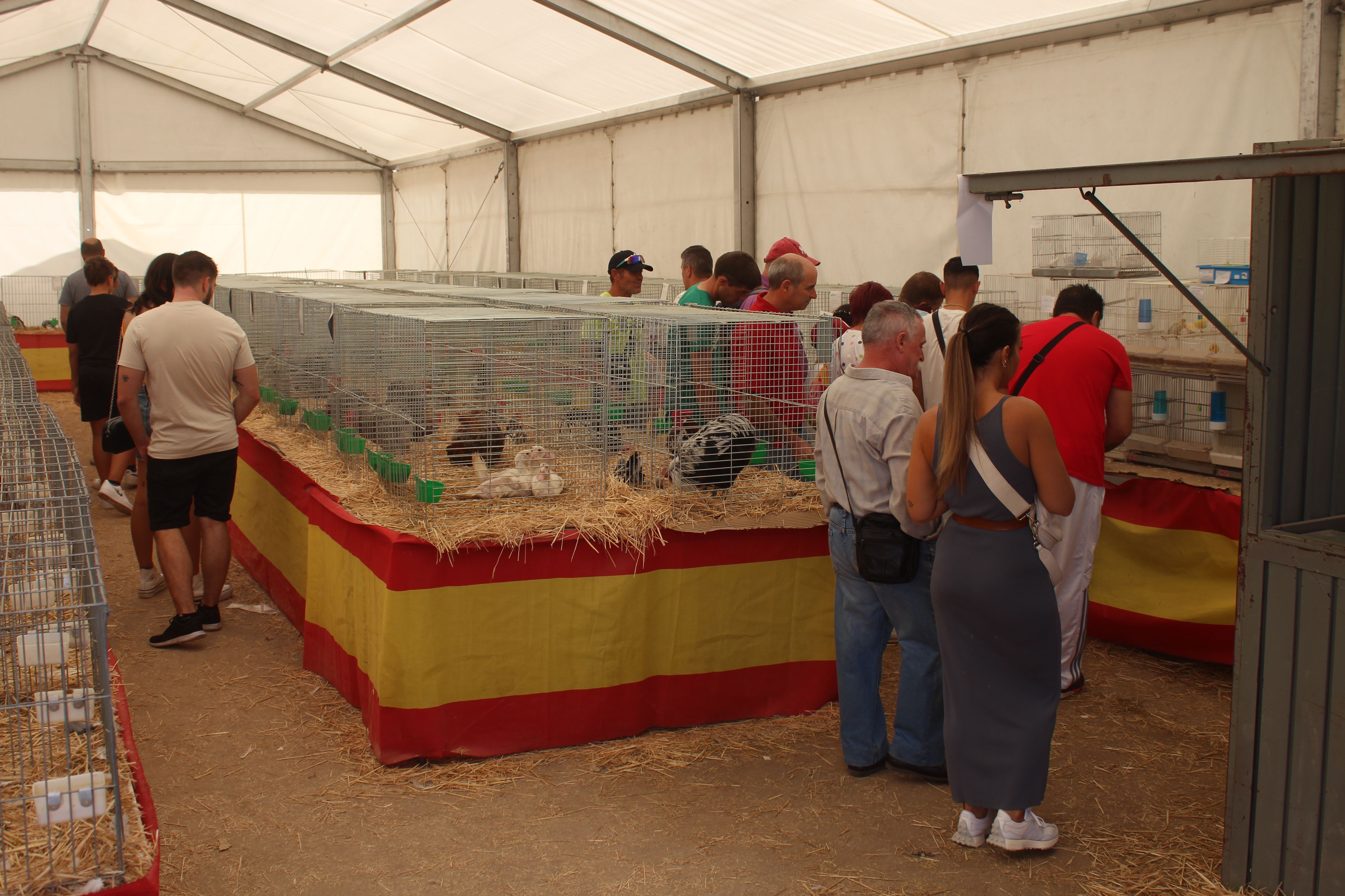 Ambiente en el Salamaq en su último día en 2023. Foto de archivo