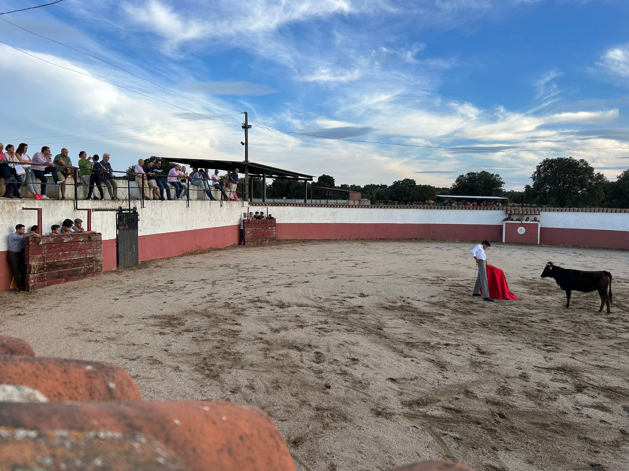 Visita de aficionados salmantinos a la ganadería de 'El Vellosino'