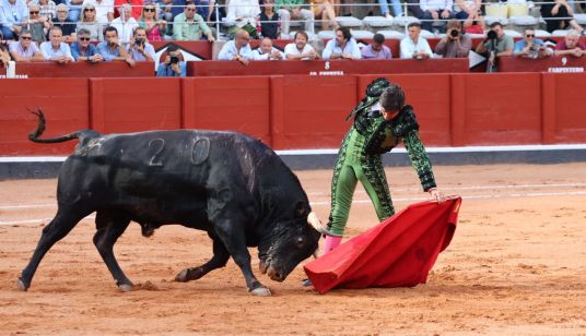 Corrida de El Vellosino: momentos más destacados del segundo festejo de abono de la Feria Taurina Virgen de la Vega 2023. Fotos Andrea M.