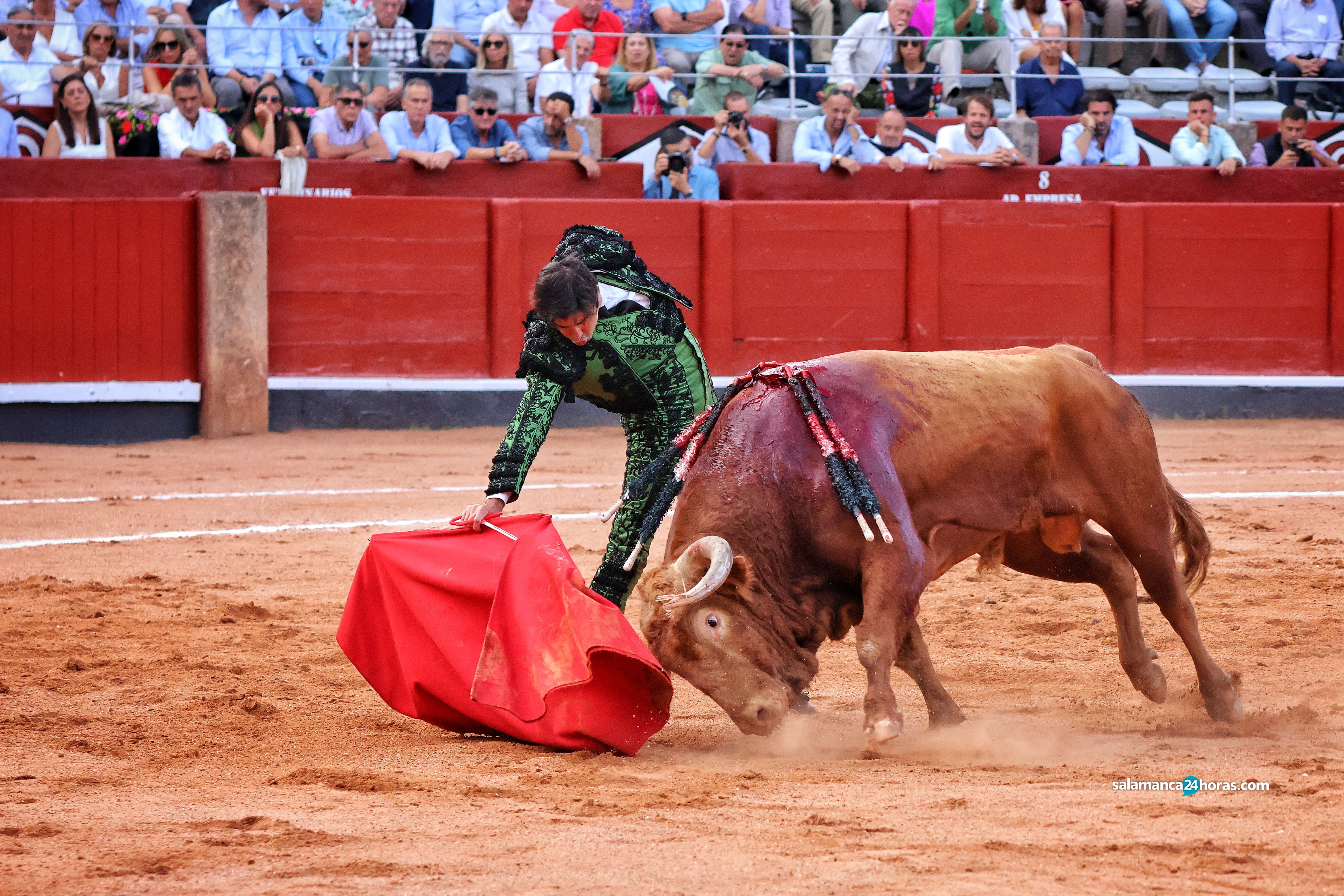 Miguel Ángel Perera toreando a ‘Madrileño’, un toro del Vellosino en La Glorieta. Foto Andrea M.