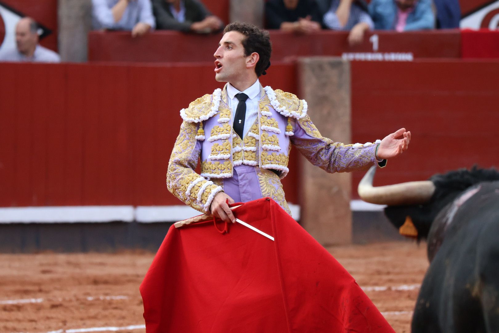 Valentín Hoyos con la novillada de Lorenzo Espioja en La Glorieta 2023. Fotos Andrea M.