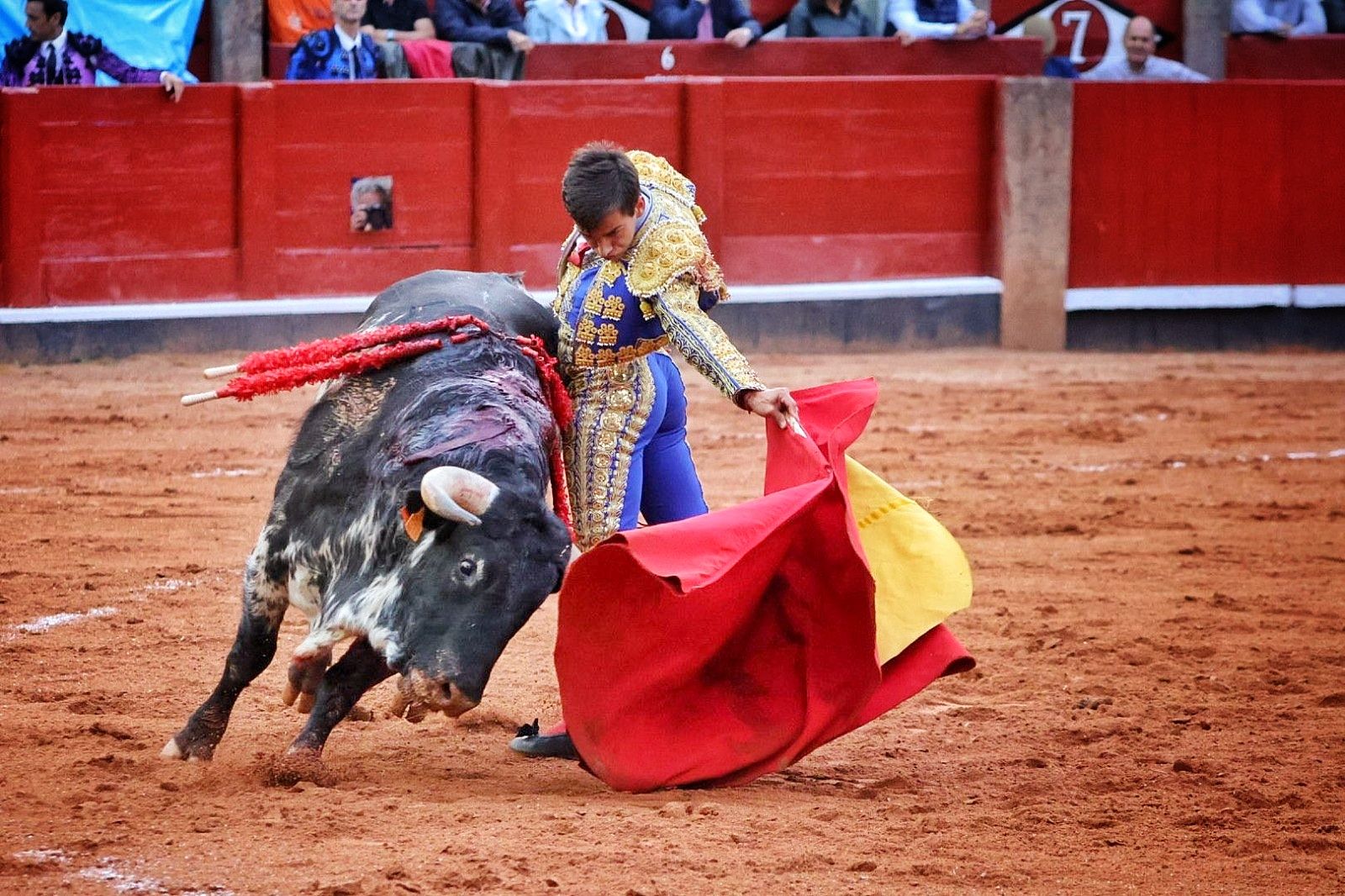 Ismael Martín con ‘Palmero’, novillo de Lorenzo Espioja. Foto Andrea M. 