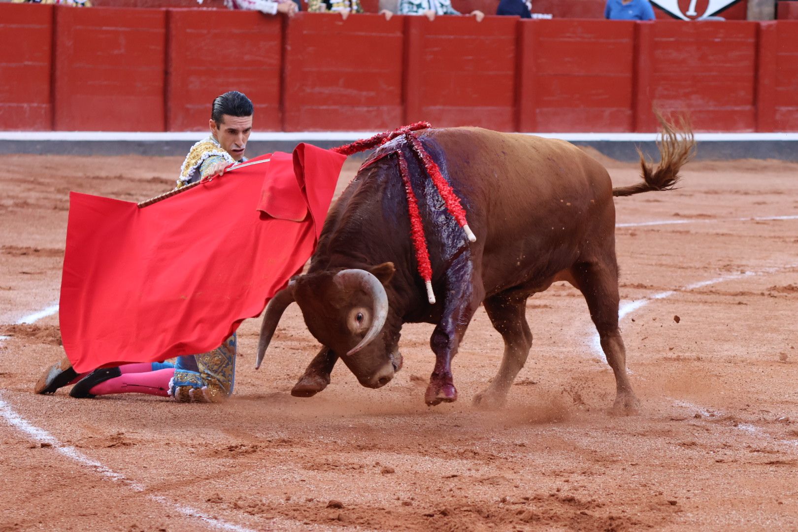 GALERÍA | Corrida de ‘El Puerto de San Lorenzo’ y ‘La Ventana del Puerto’: momentos más destacados del quinto festejo de abono de la Feria Taurina Virgen de la Vega 2023. Fotos Andrea M.