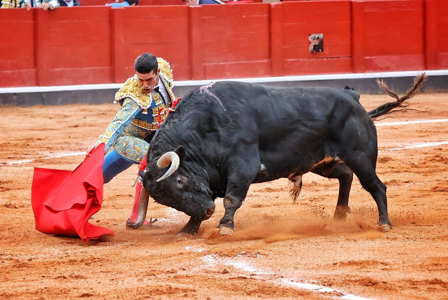 Alejandro Talavante y 'Carafina' del hierro de 'El Puerto de San Lorenzo'. Fotos Andrea M. 