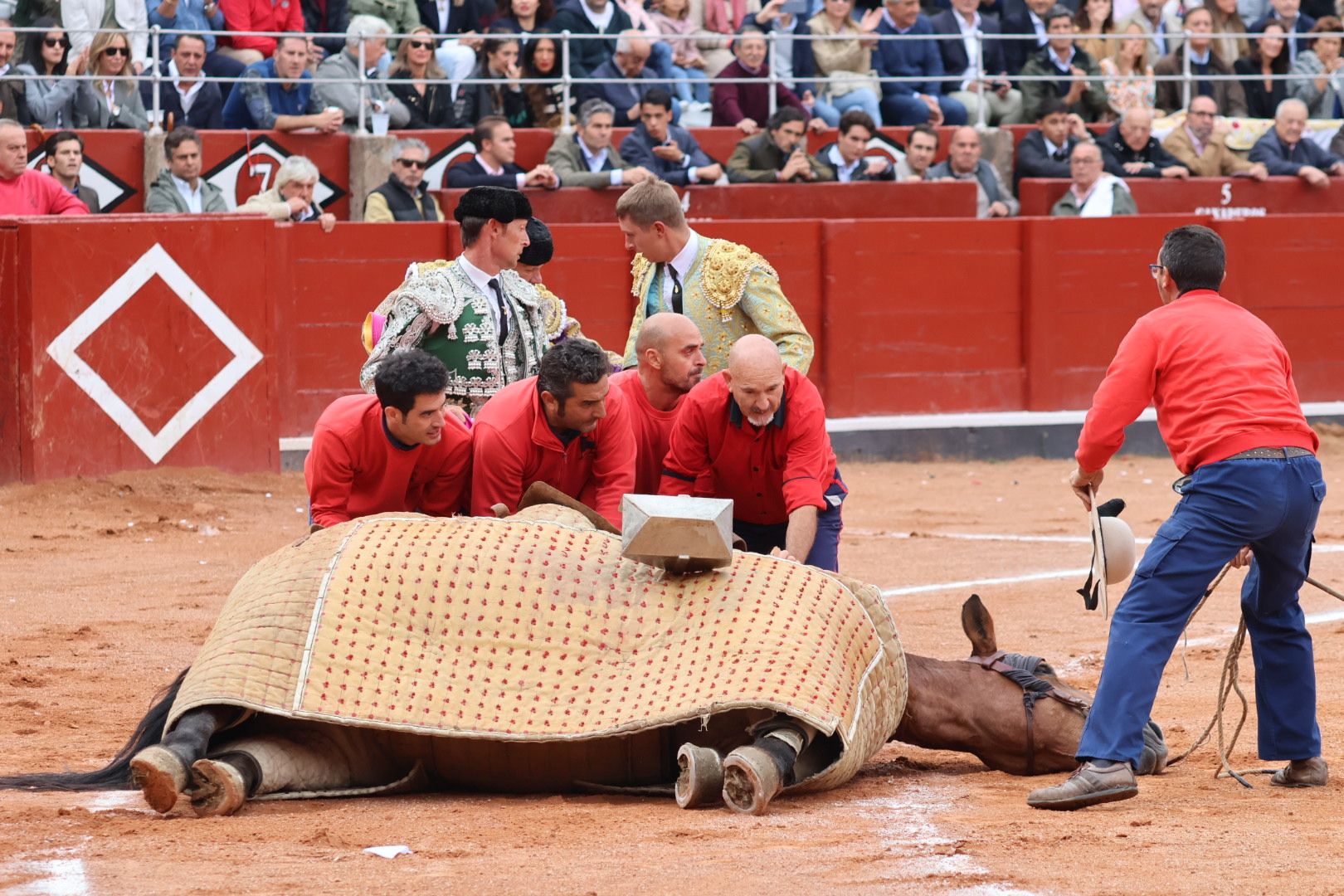 GALERÍA | Corrida concurso de despedida de López Chaves y El Juli: momentos más destacados del último festejo de abono de la Feria Taurina Virgen de la Vega 2023. Fotos Andrea M.