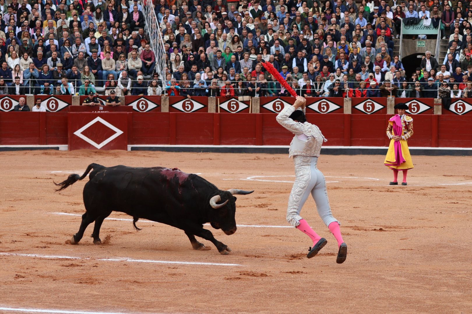 GALERÍA | Corrida concurso de despedida de López Chaves y El Juli: momentos más destacados del último festejo de abono de la Feria Taurina Virgen de la Vega 2023. Fotos Andrea M.