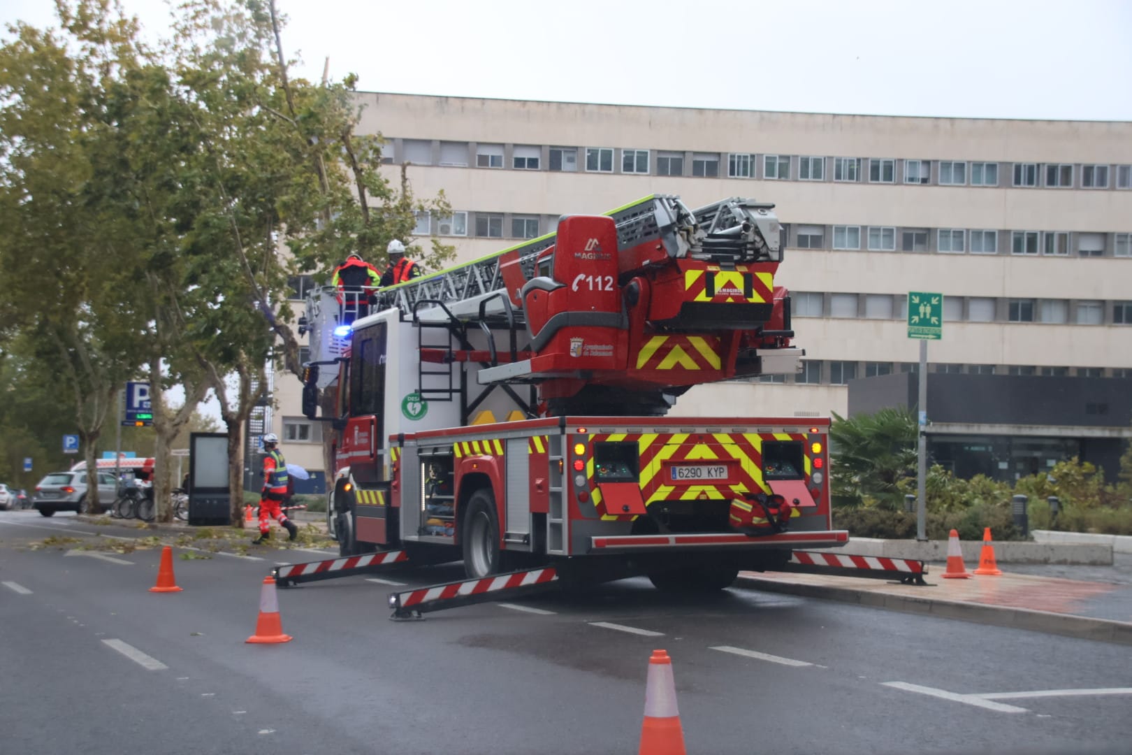 Bomberos podando árboles en el paseo de San Vicente por el temporal de viento. Foto Andrea M.