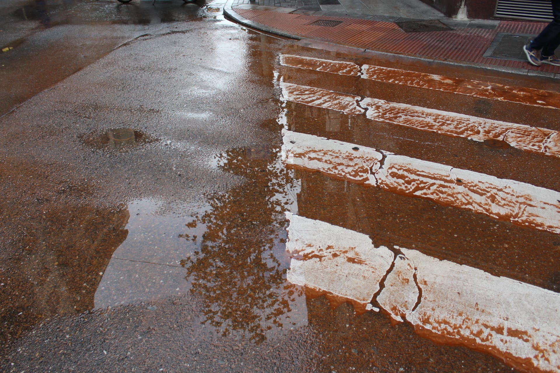 Reventón de agua en Torres Villaroel (16)