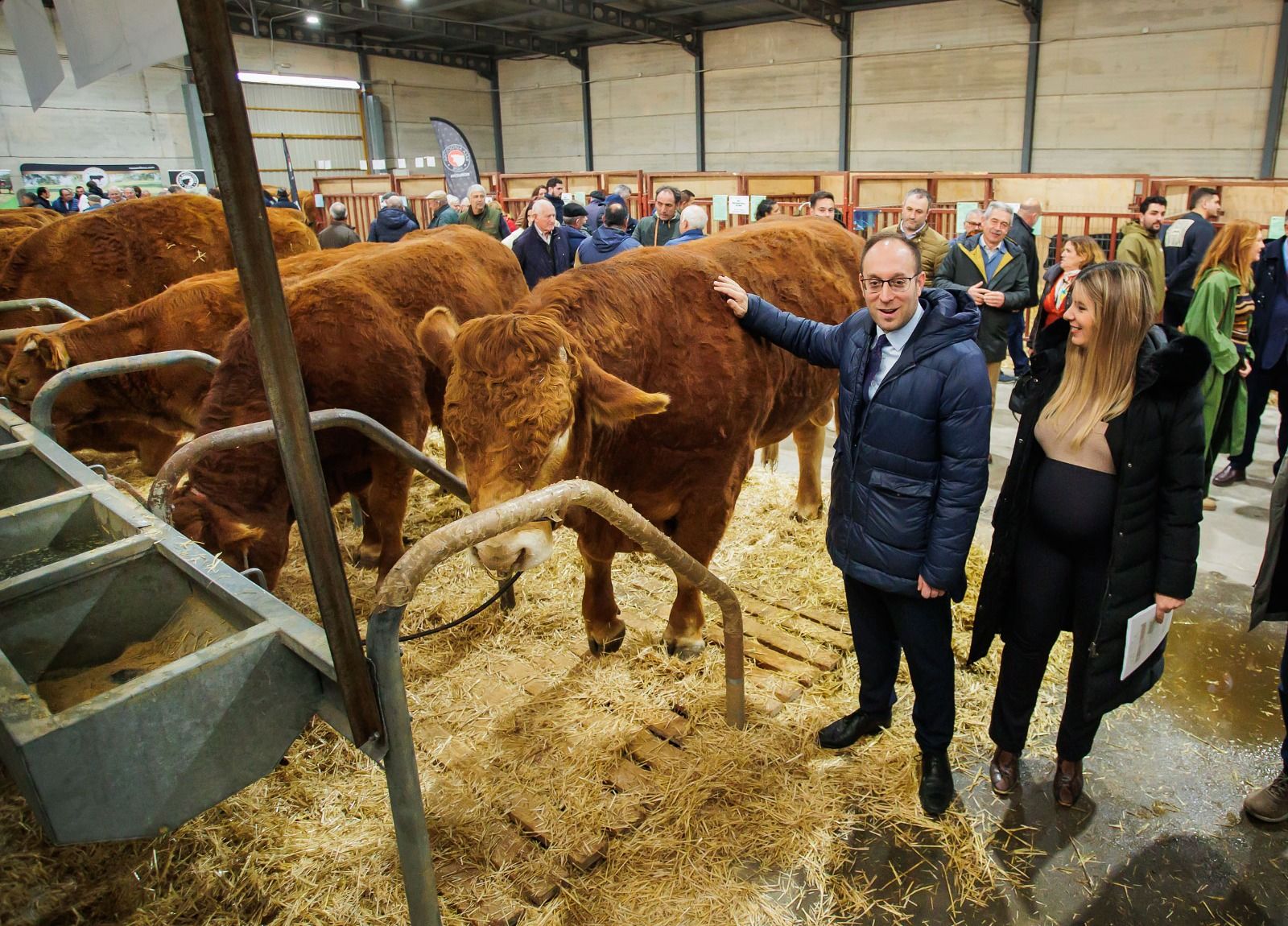 GALERÍA | Concursos y subastas de raza limusina, charolesa y avileña-negra ibérica en la Feria de San Andrés de Ciudad Rodrigo 2023