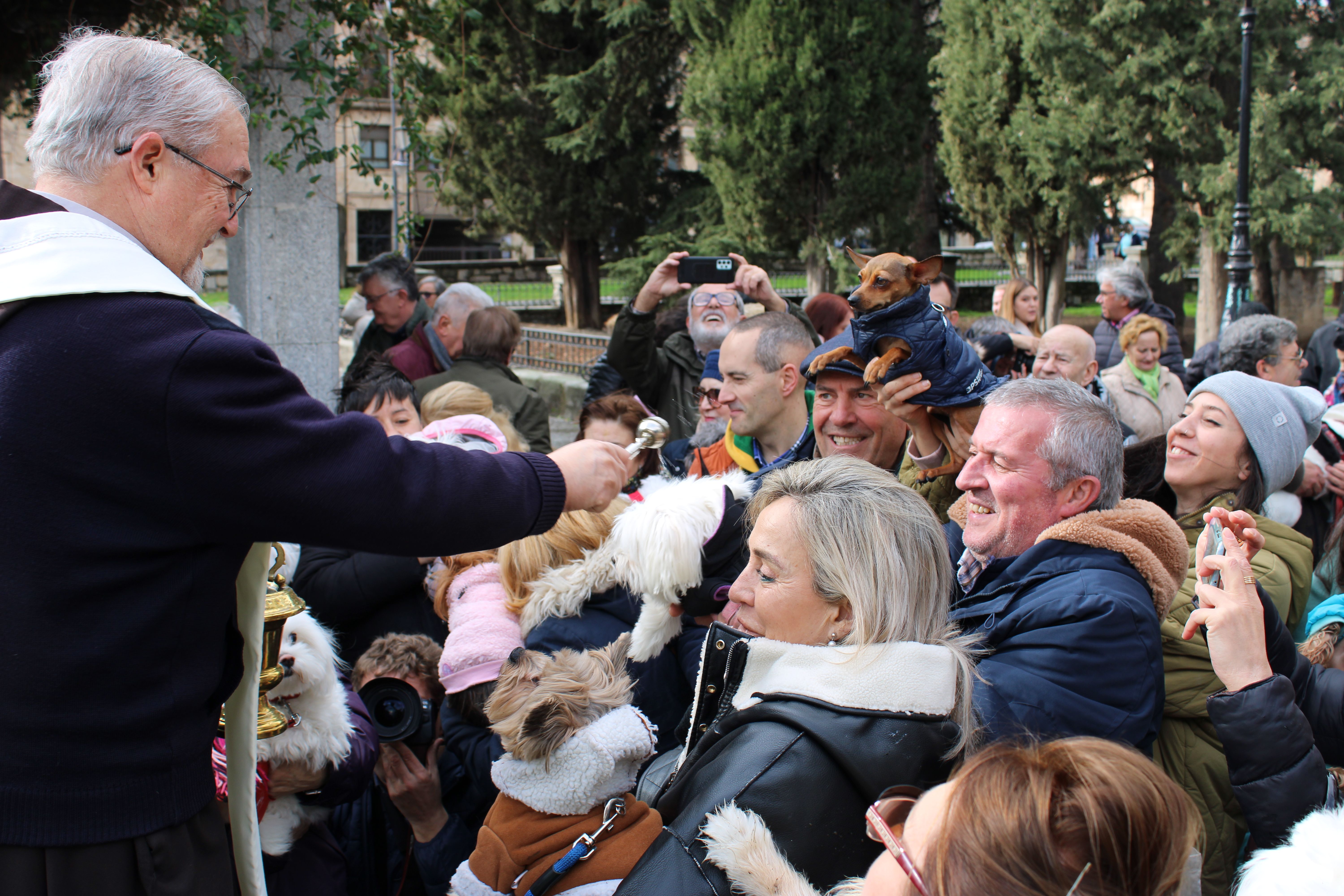 San Antón, bendición de animales 2024. Foto S24H 