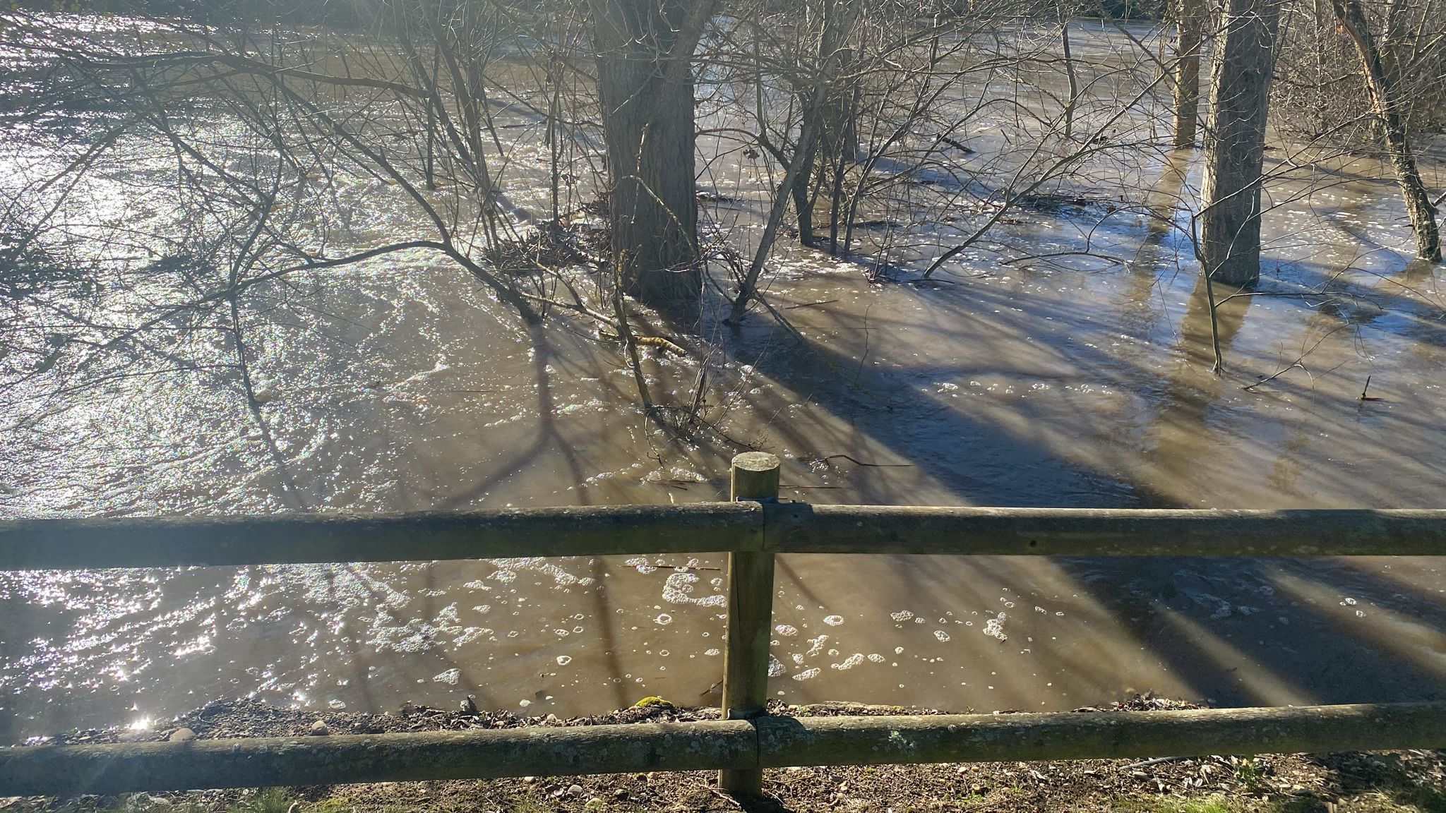 Zona inundada de Valverdón