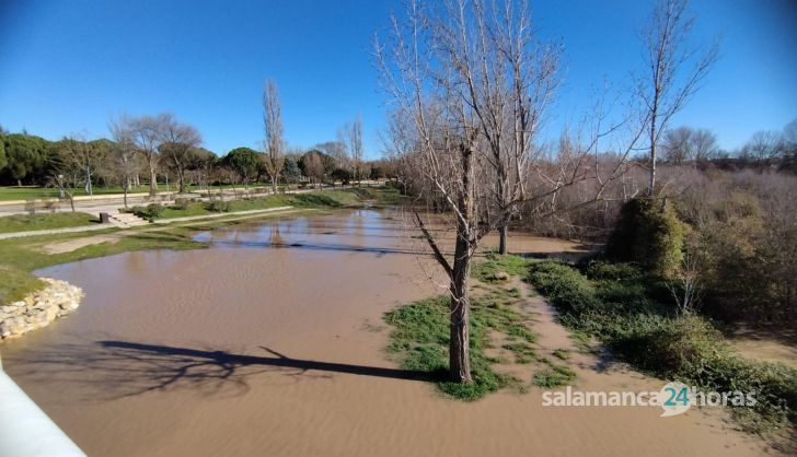 Isla del Soto inundada 