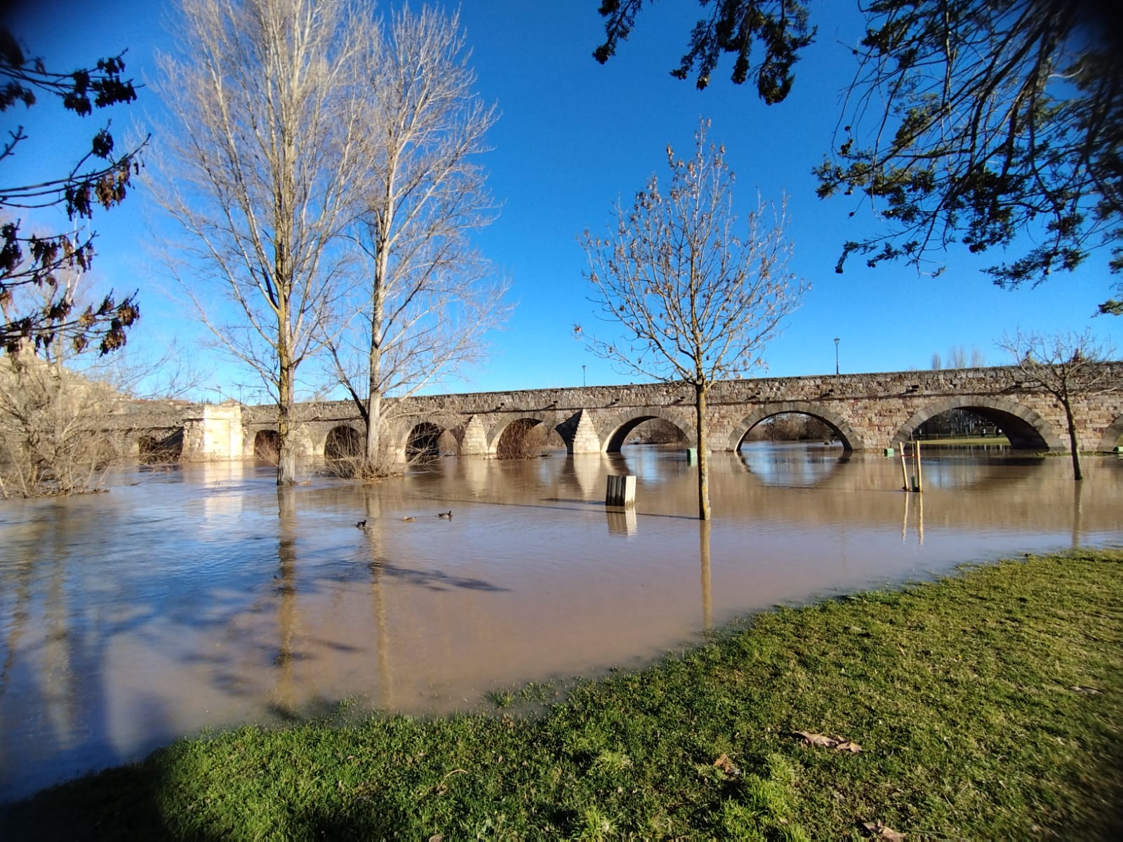 El río Tormes se desborda y provoca varios desastres a su paso por el Puente Romano