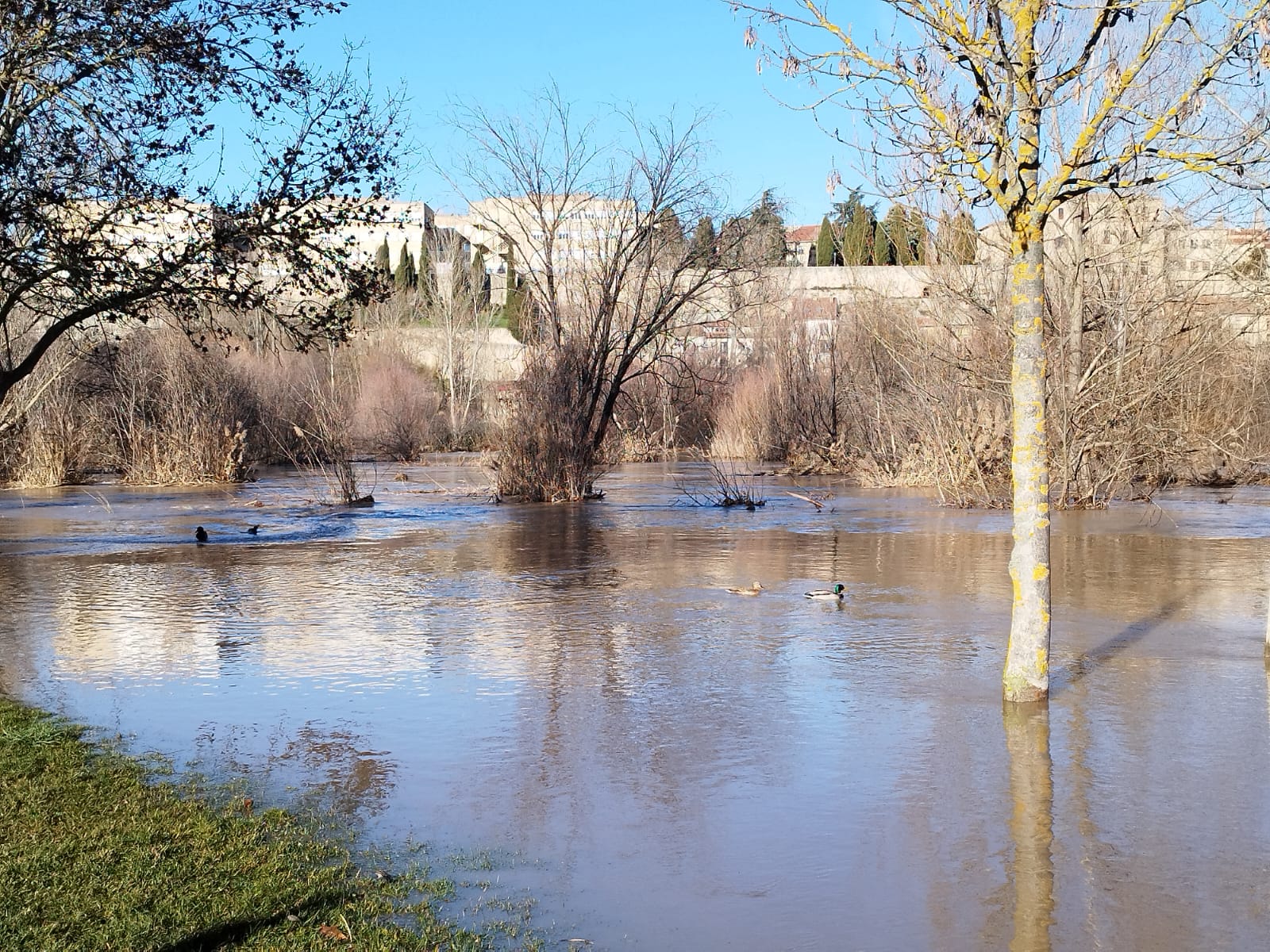 El río Tormes se desborda y provoca varios desastres a su paso por el Puente Romano