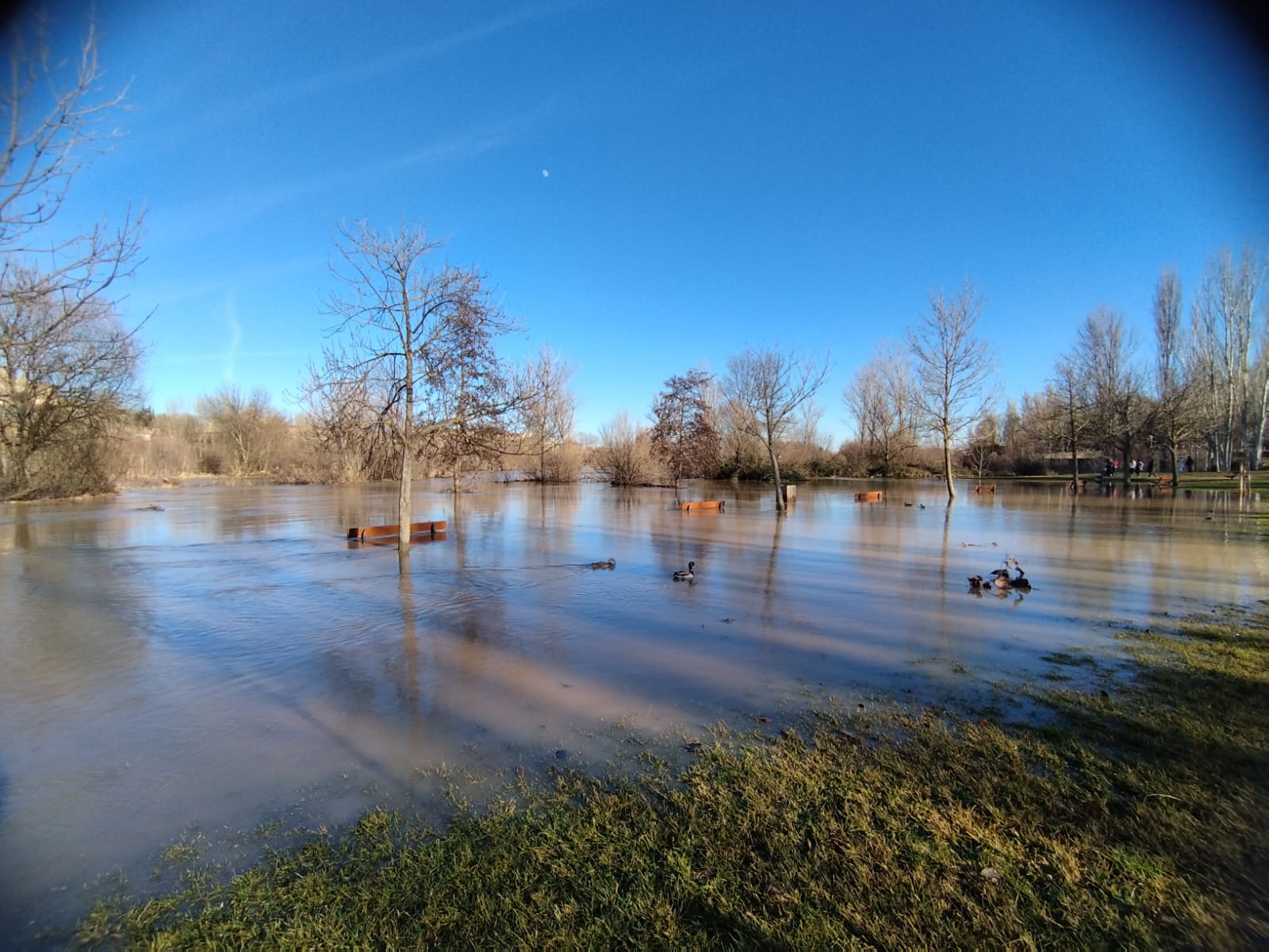 El río Tormes se desborda y provoca varios desastres a su paso por el Puente Romano