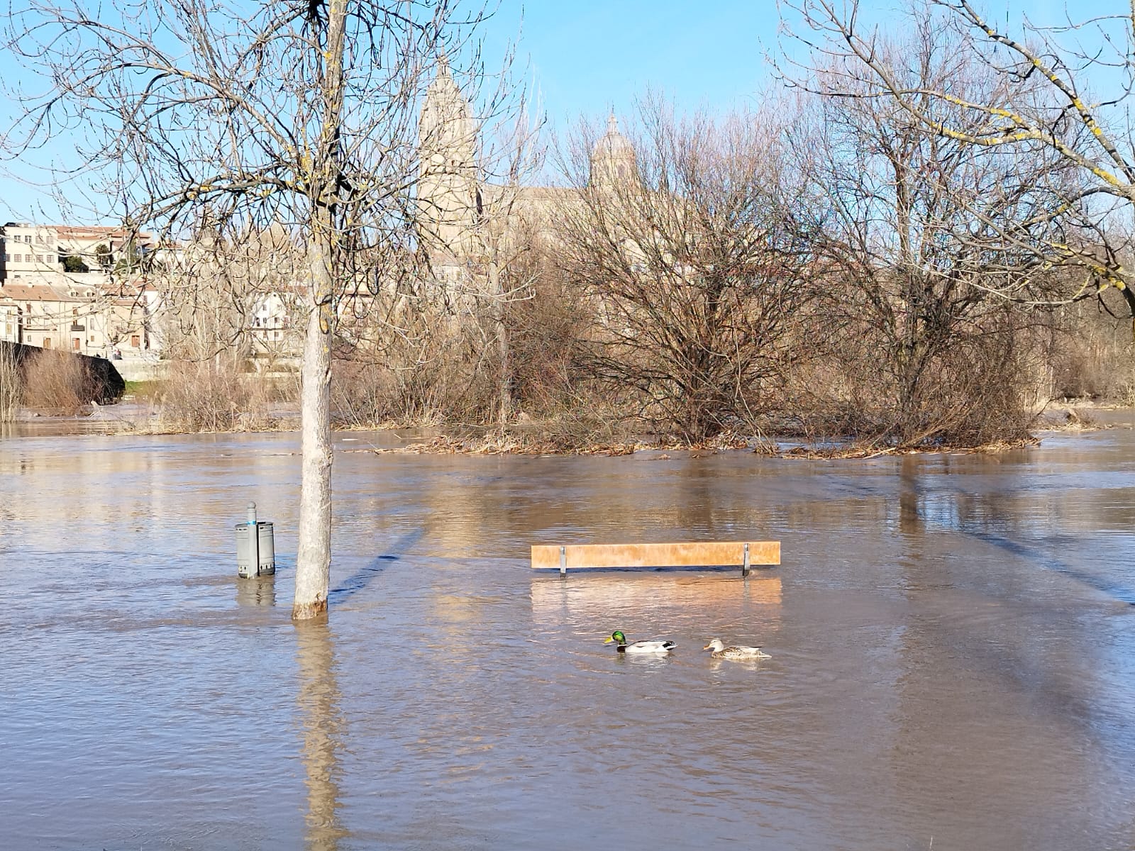 El río Tormes se desborda y provoca varios desastres a su paso por el Puente Romano