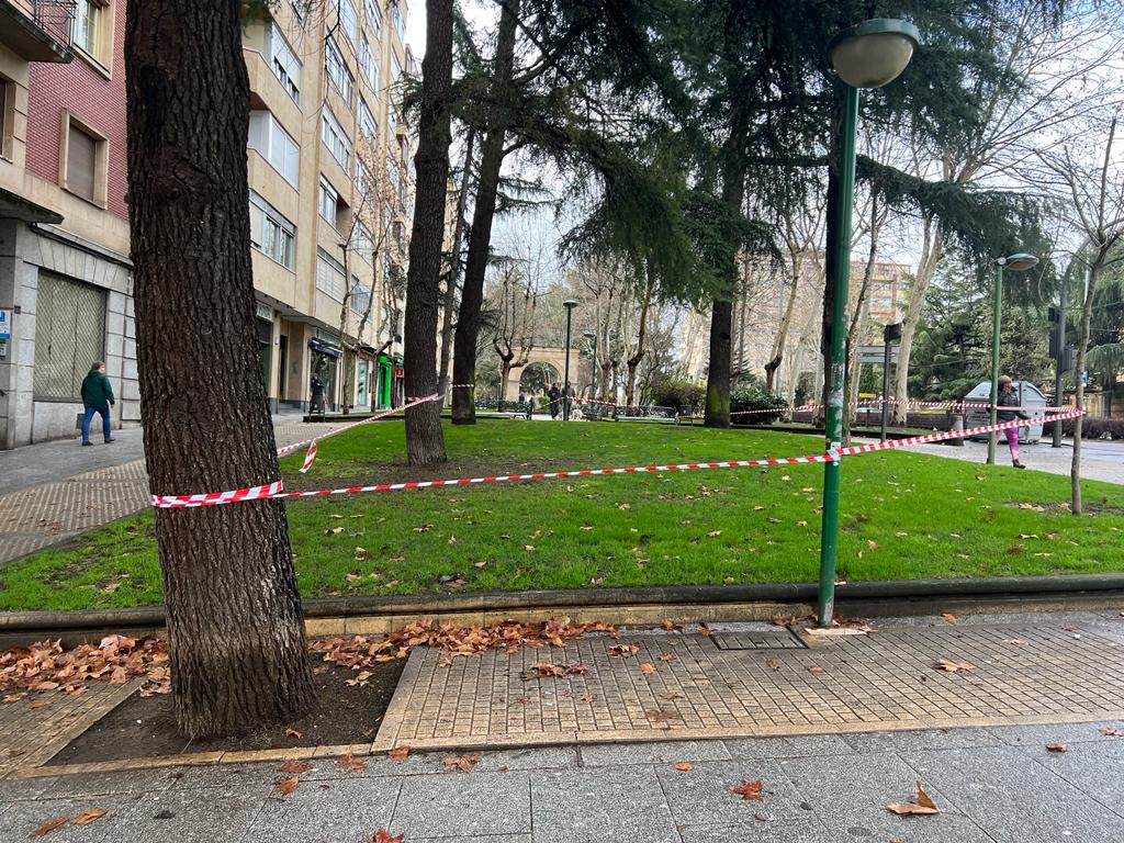 Parque cerrado por el viento en la Plaza de la Fuente