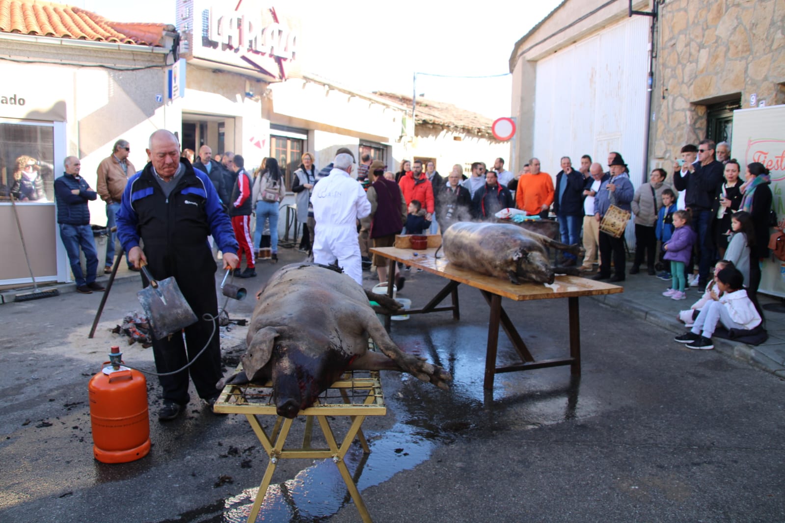 Matanza Típica en Castellanos de Moriscos