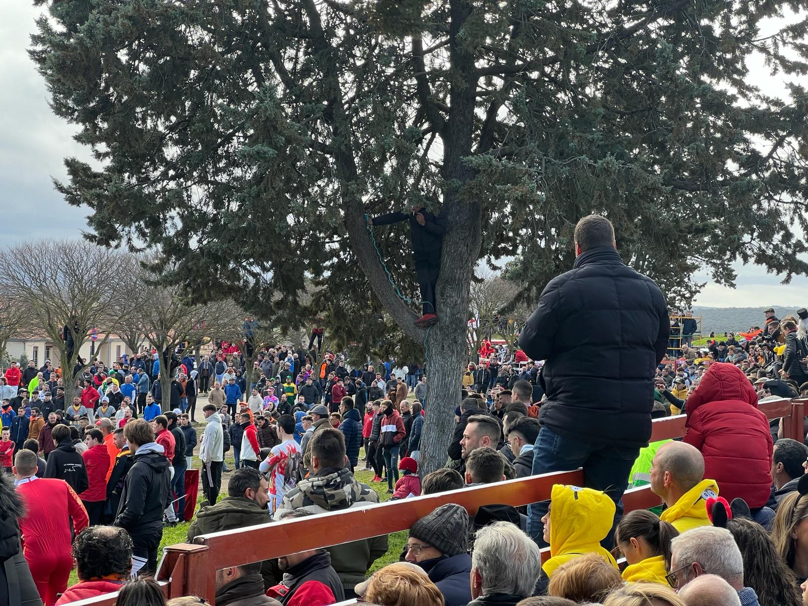 Encierro del Toro del Antruejo del Carnaval de Ciudad Rodrigo