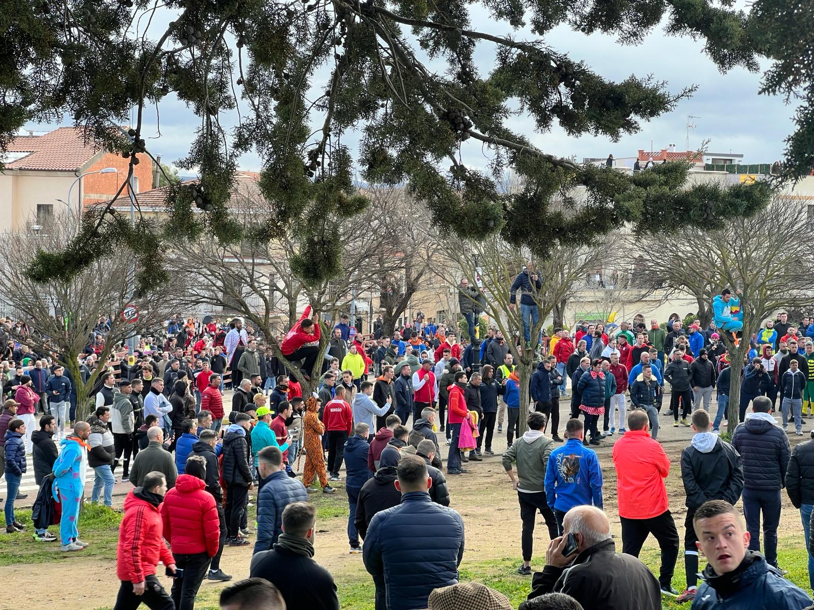 Encierro del Toro del Antruejo del Carnaval de Ciudad Rodrigo