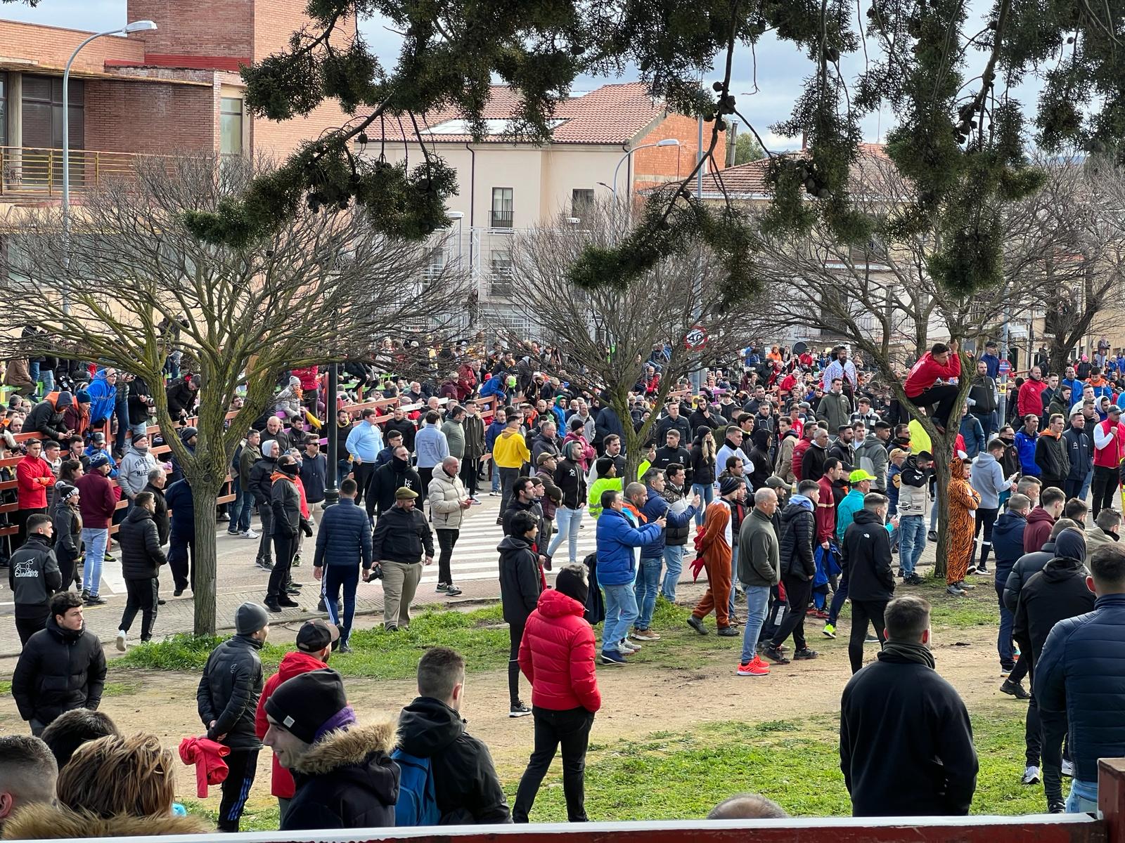 Encierro del Toro del Antruejo del Carnaval de Ciudad Rodrigo