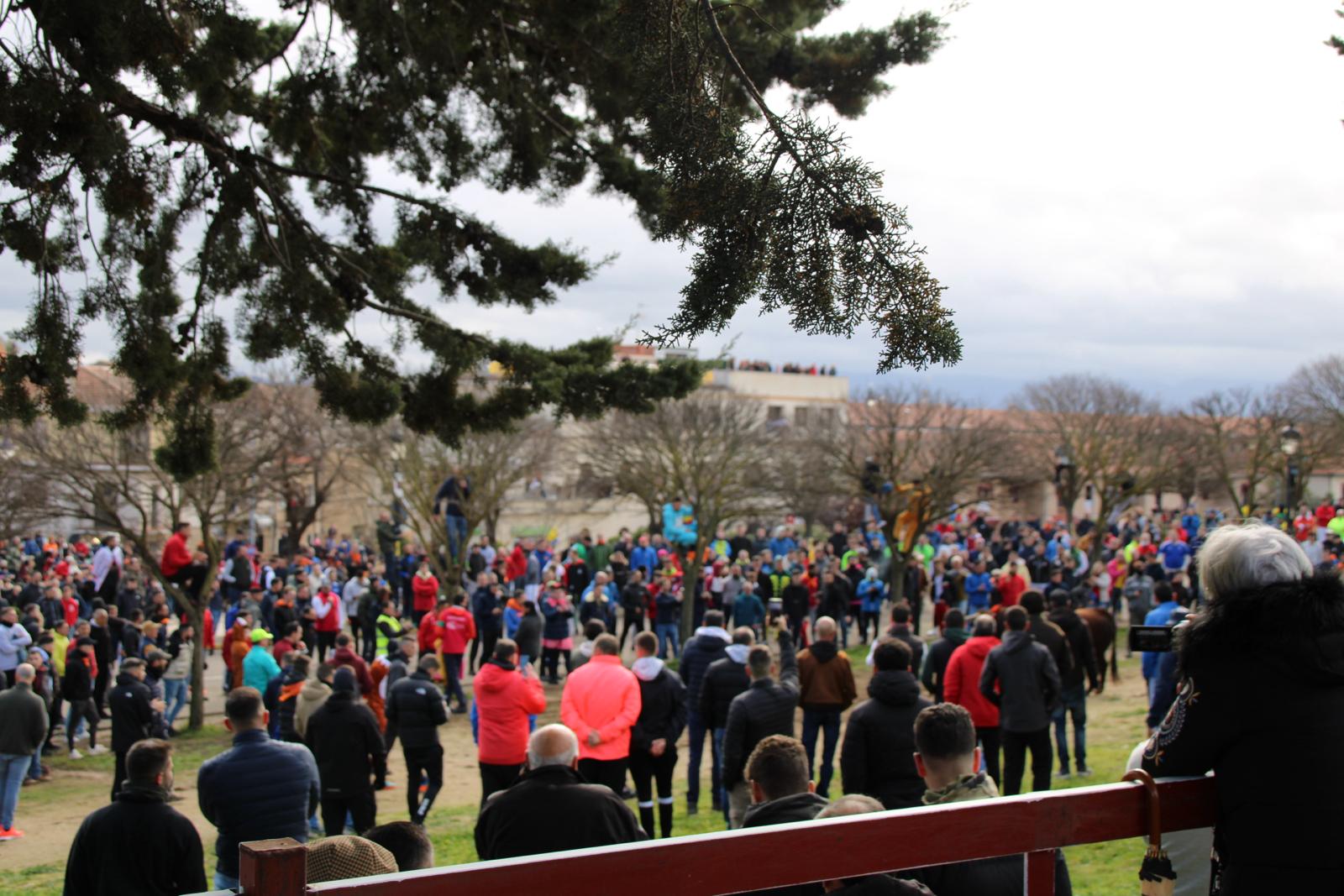 Encierro del Toro del Antruejo del Carnaval de Ciudad Rodrigo