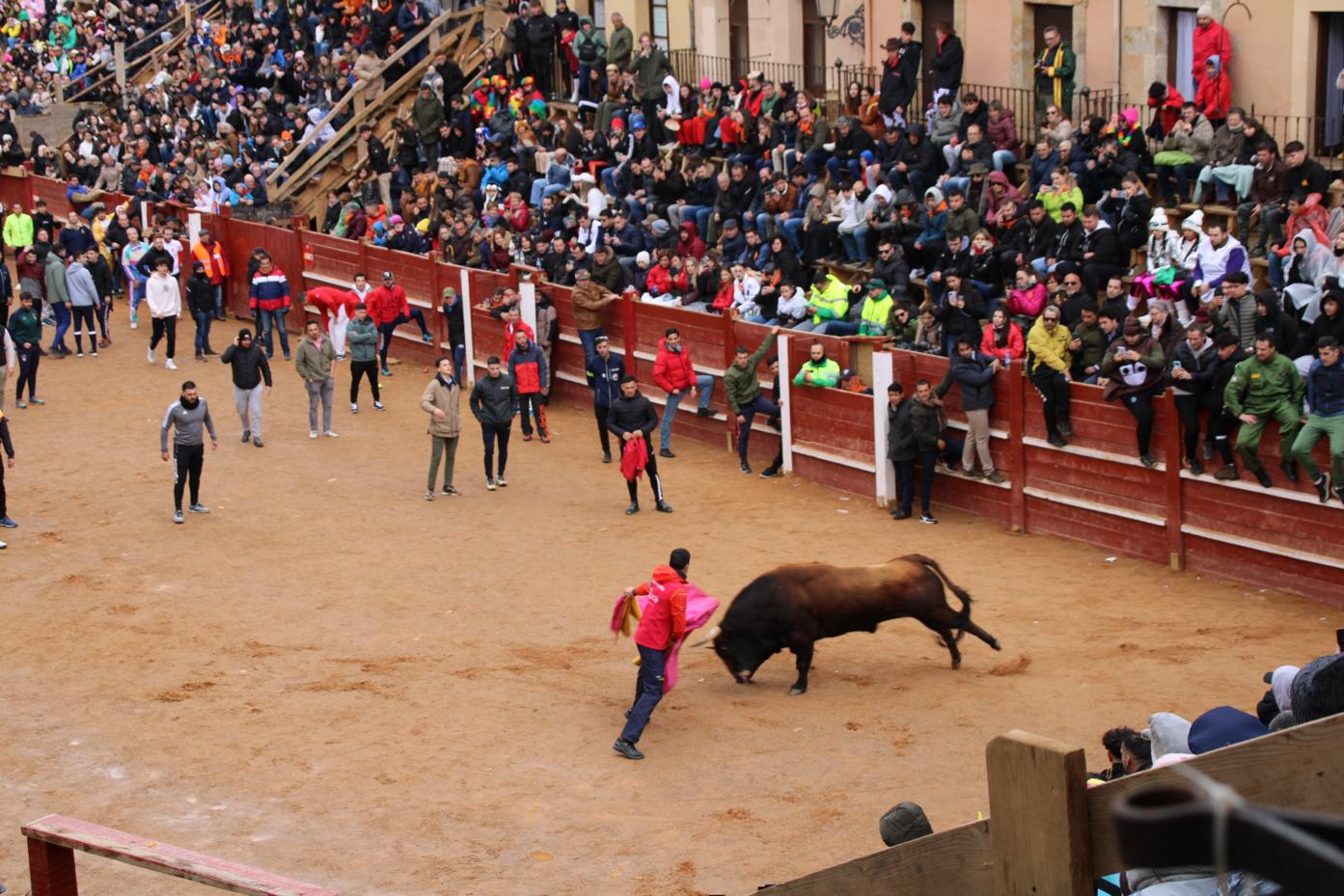 Encierro del Toro del Antruejo del Carnaval de Ciudad Rodrigo