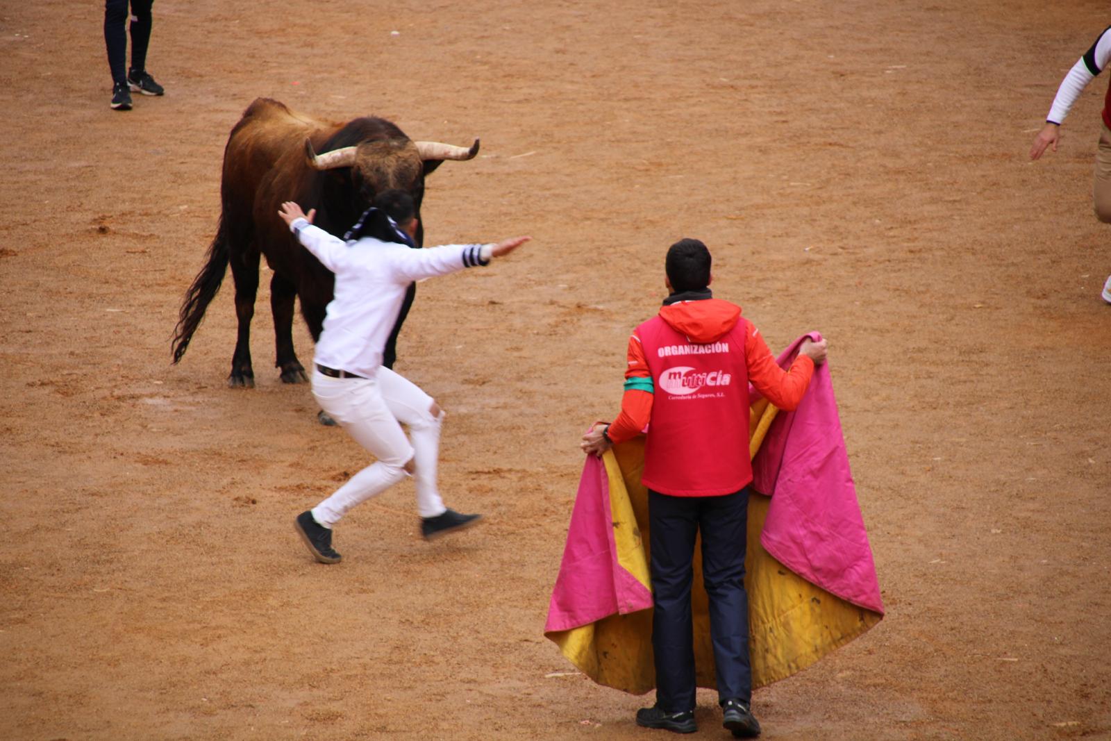 Encierro del Toro del Antruejo del Carnaval de Ciudad Rodrigo