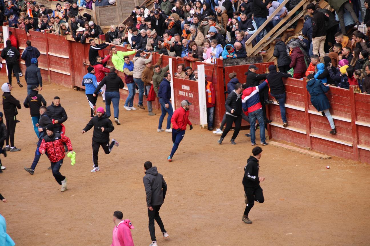 Encierro del Toro del Antruejo del Carnaval de Ciudad Rodrigo