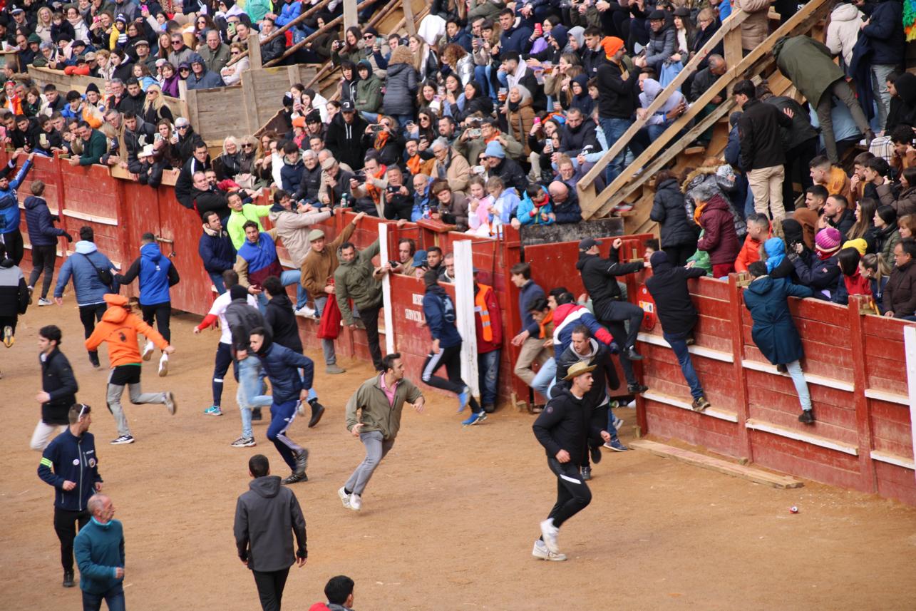 Encierro del Toro del Antruejo del Carnaval de Ciudad Rodrigo