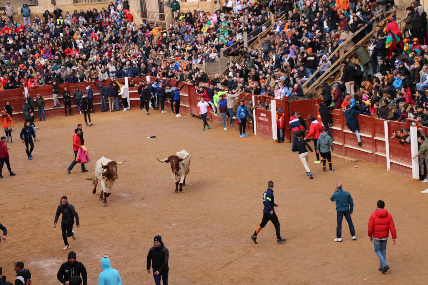 Encierro del Toro del Antruejo del Carnaval de Ciudad Rodrigo