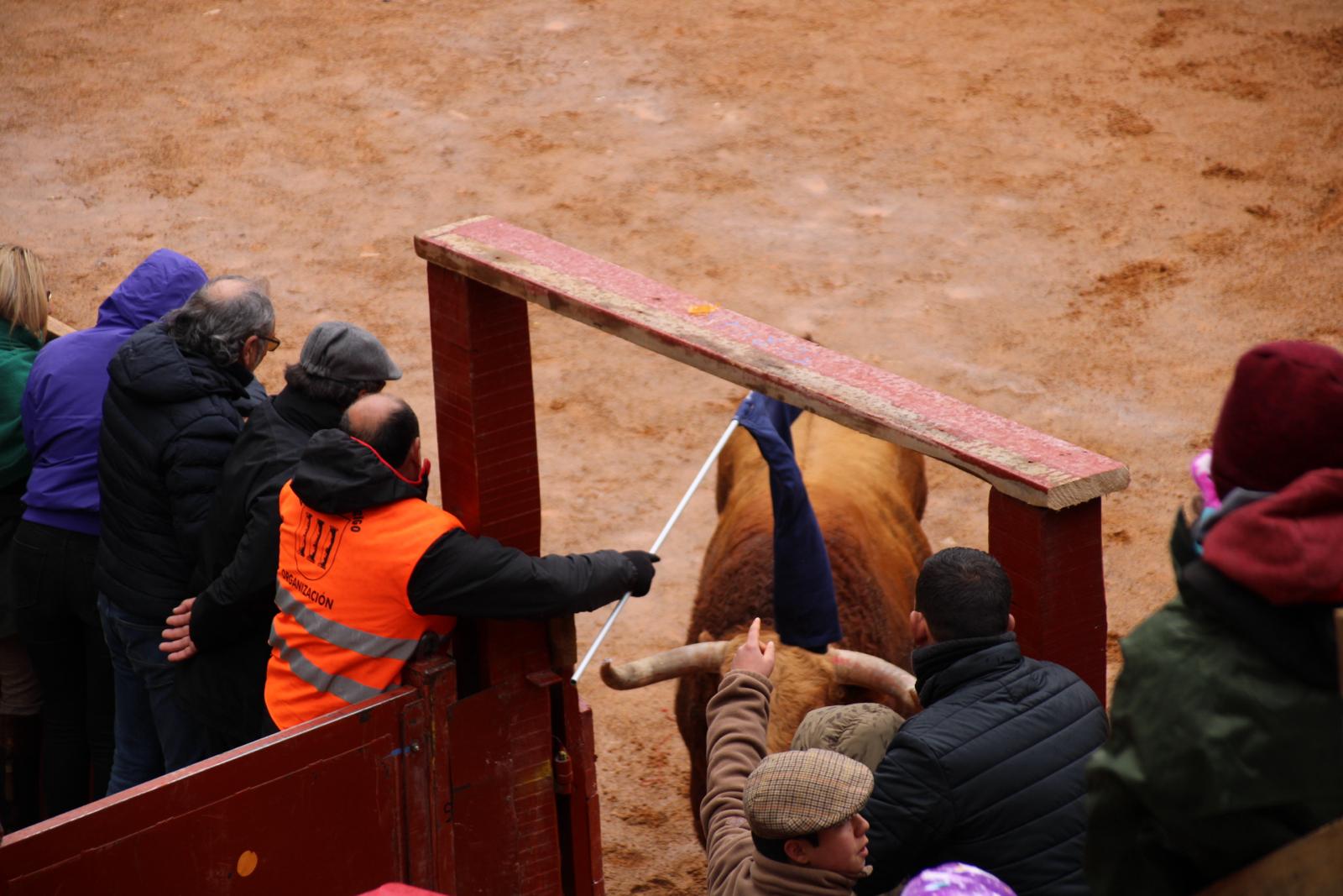 Encierro del Toro del Antruejo del Carnaval de Ciudad Rodrigo