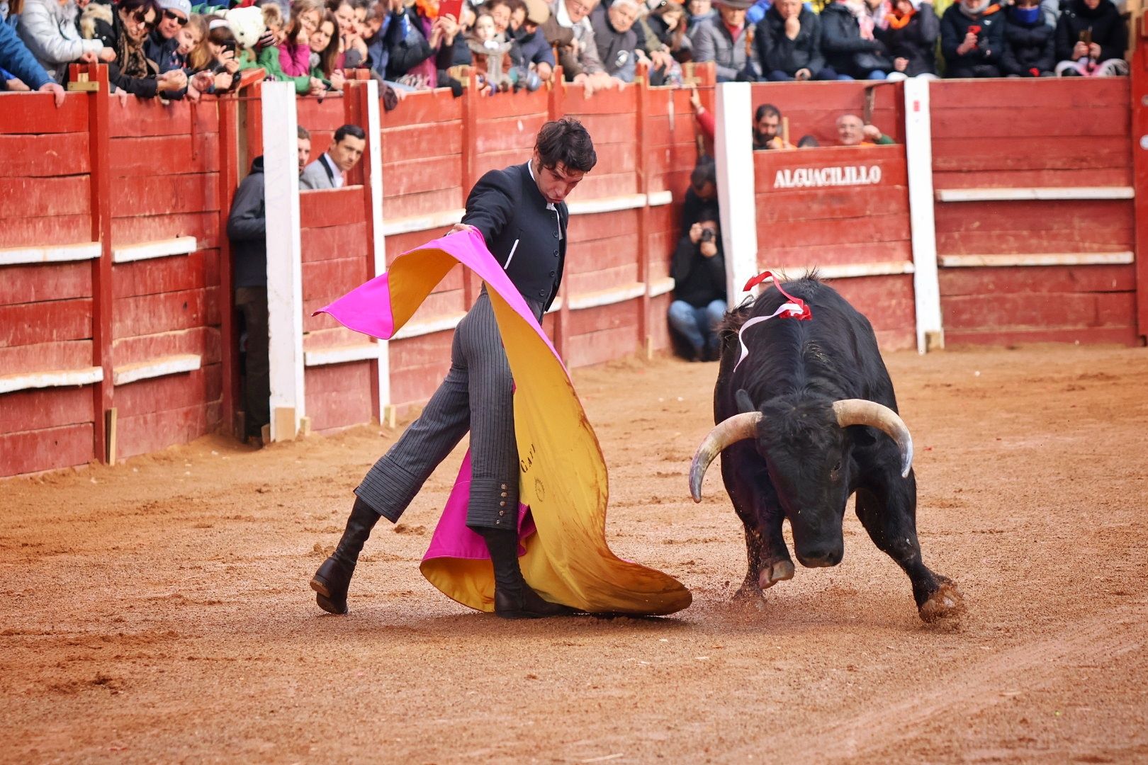 Cayetano Rivera ante un astado de Juan Manuel Criado en el Carnaval del Toro de Ciudad Rodrigo 2024. Foto: Andrea M.