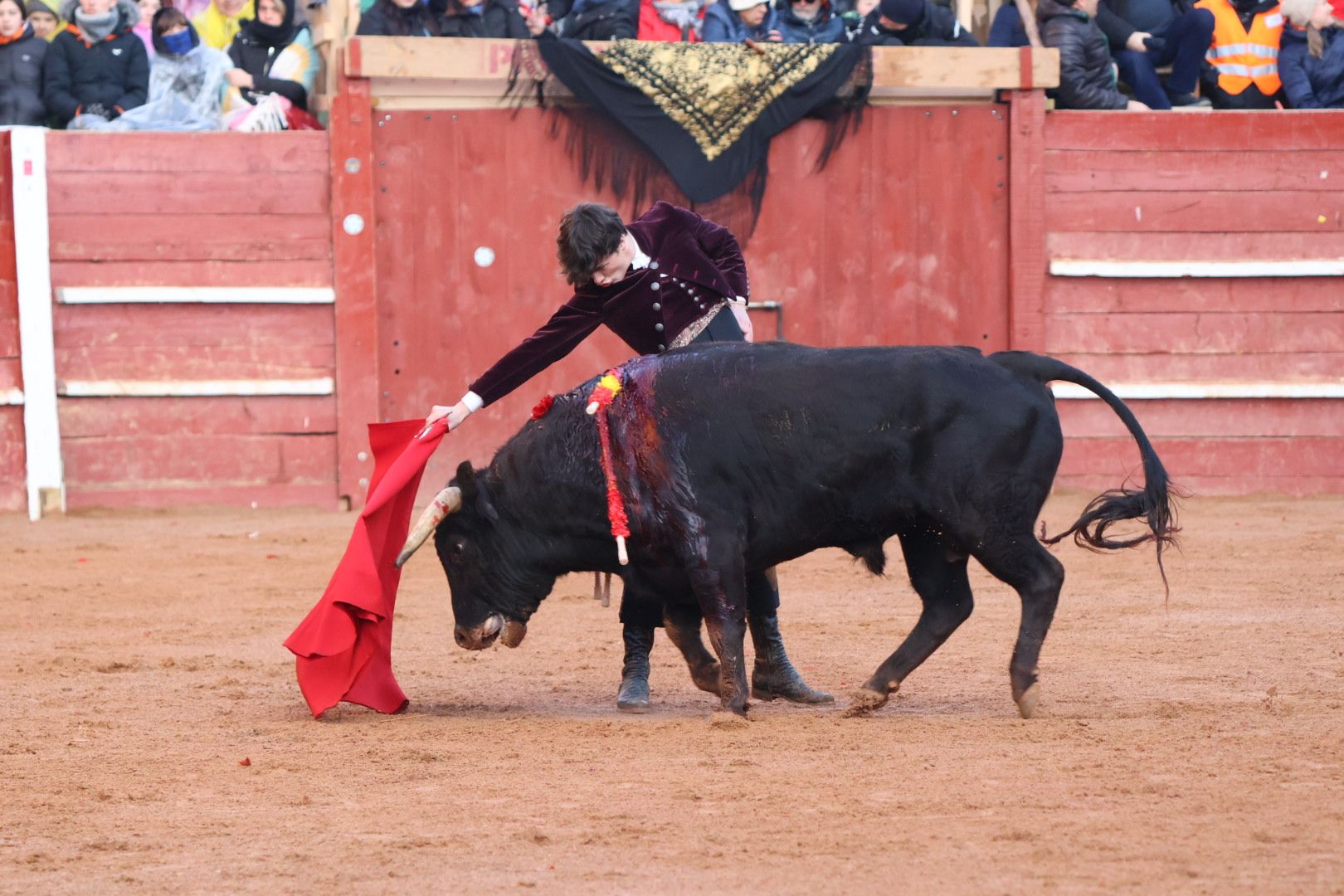 Festival Taurino en Ciudad Rodrigo, sábado, 10 de febrero. Fotos: Andrea M.