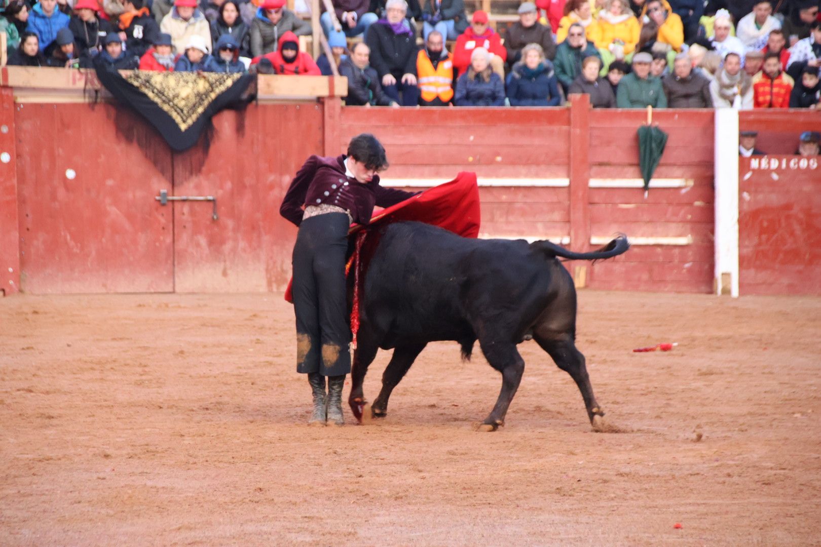 Festival Taurino en Ciudad Rodrigo, sábado, 10 de febrero. Fotos: Andrea M.