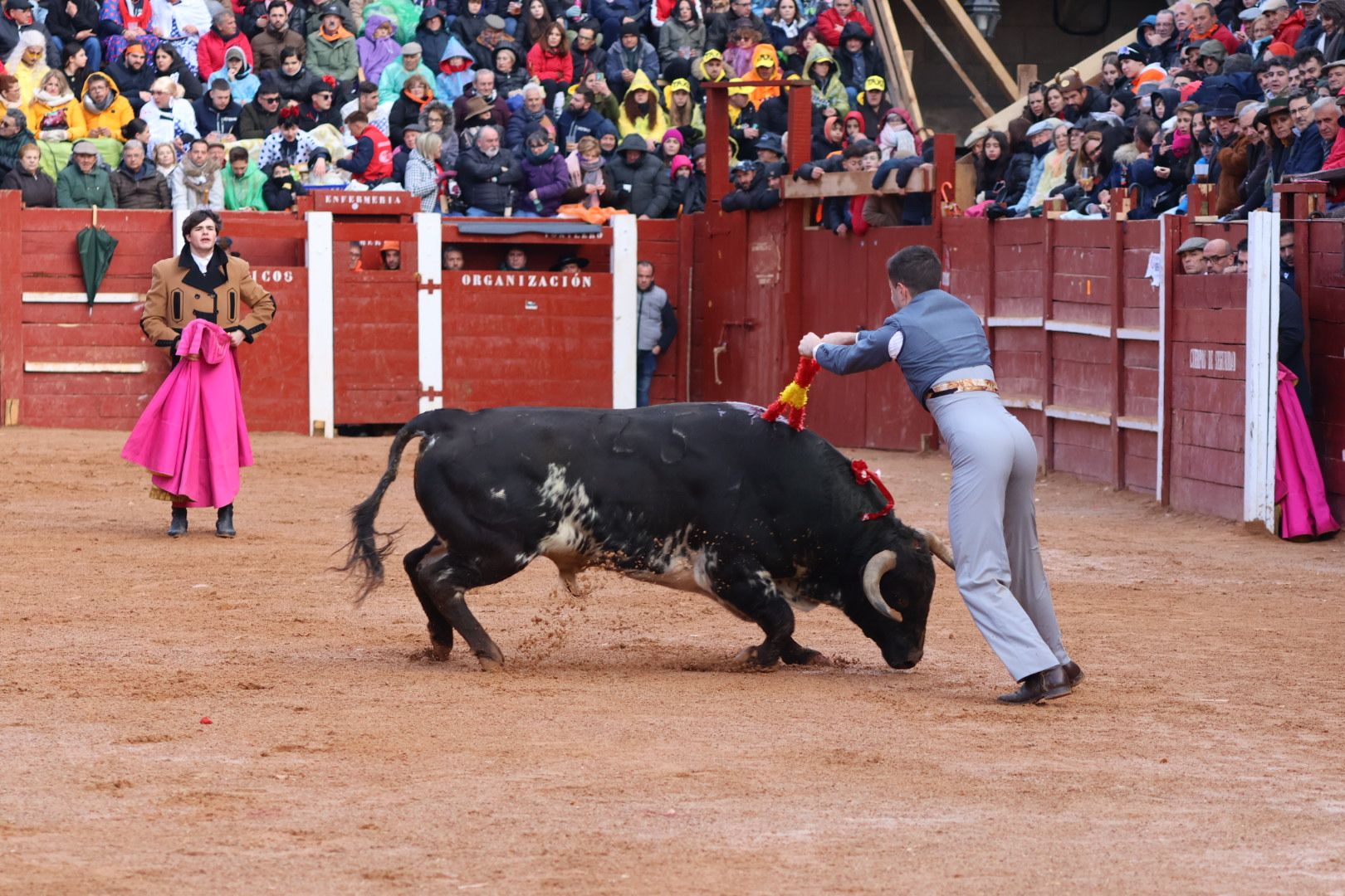 Festival Taurino en Ciudad Rodrigo, sábado, 10 de febrero. Fotos: Andrea M.