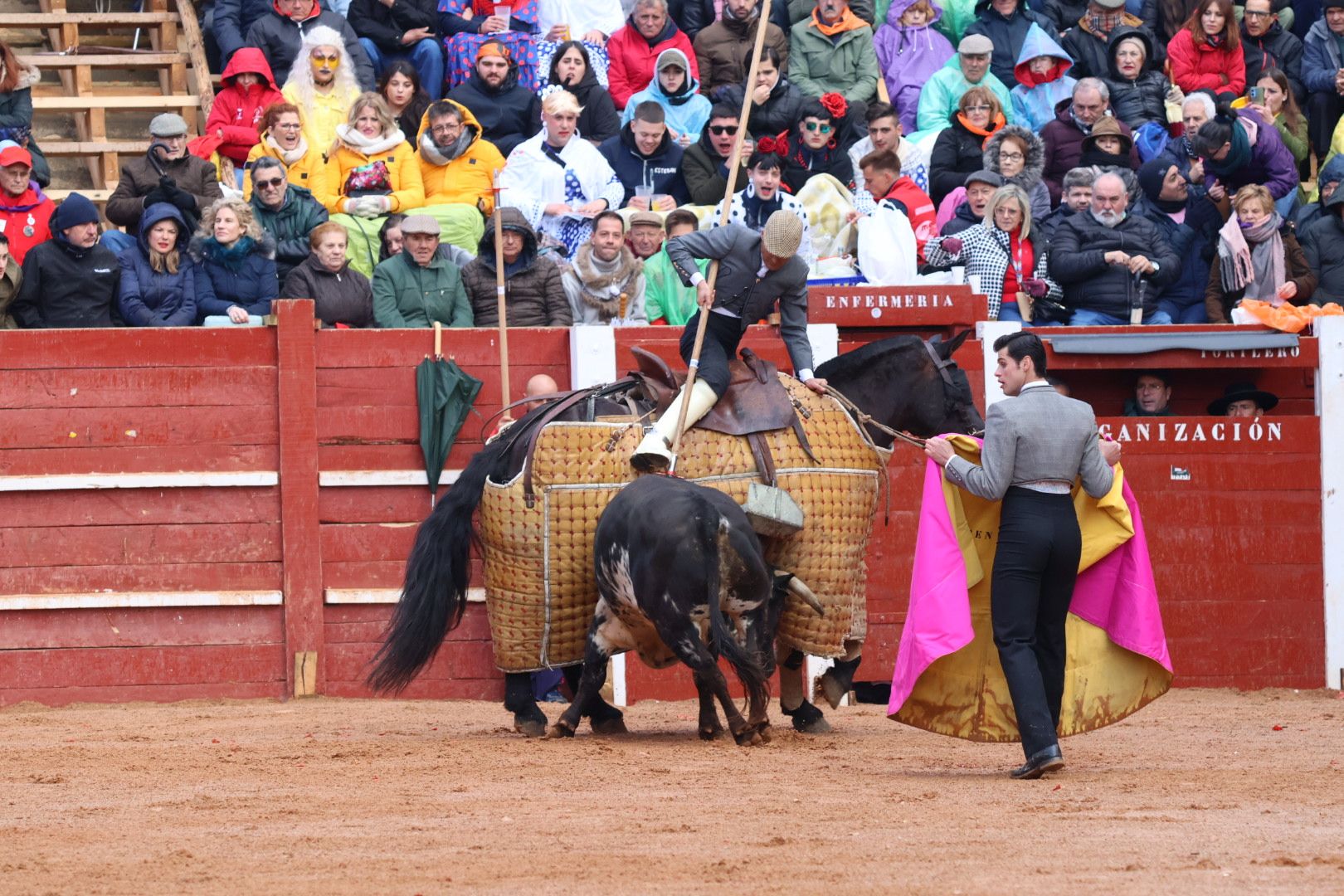 Festival Taurino en Ciudad Rodrigo, sábado, 10 de febrero. Fotos: Andrea M.