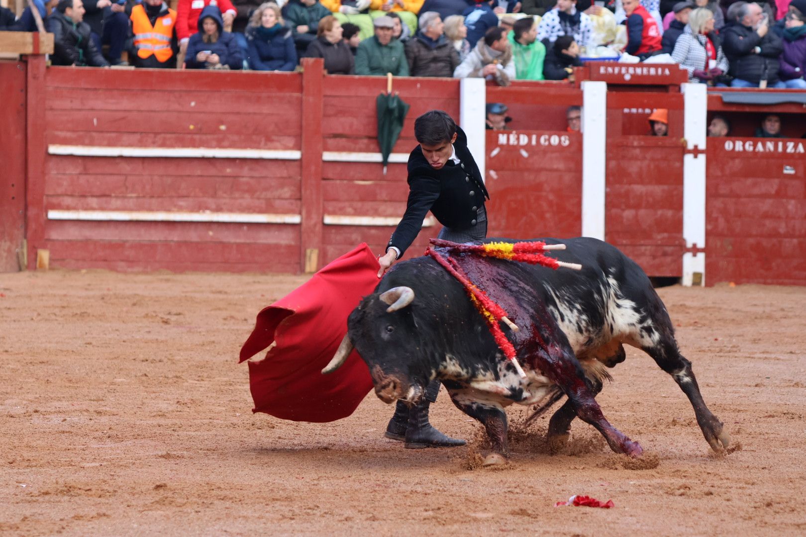 Festival Taurino en Ciudad Rodrigo, sábado, 10 de febrero. Fotos: Andrea M.