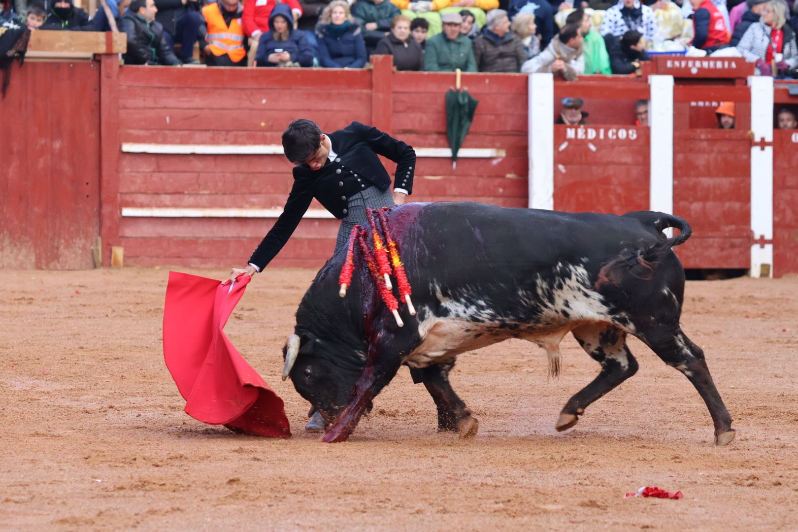 Festival Taurino en Ciudad Rodrigo, sábado, 10 de febrero. Fotos: Andrea M.