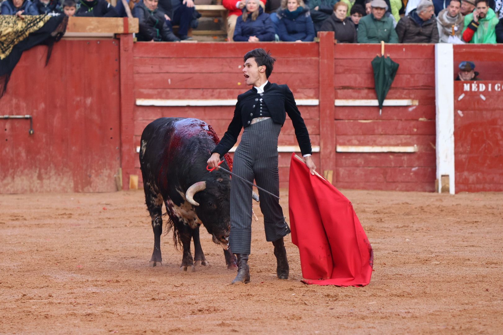 Festival Taurino en Ciudad Rodrigo, sábado, 10 de febrero. Fotos: Andrea M.