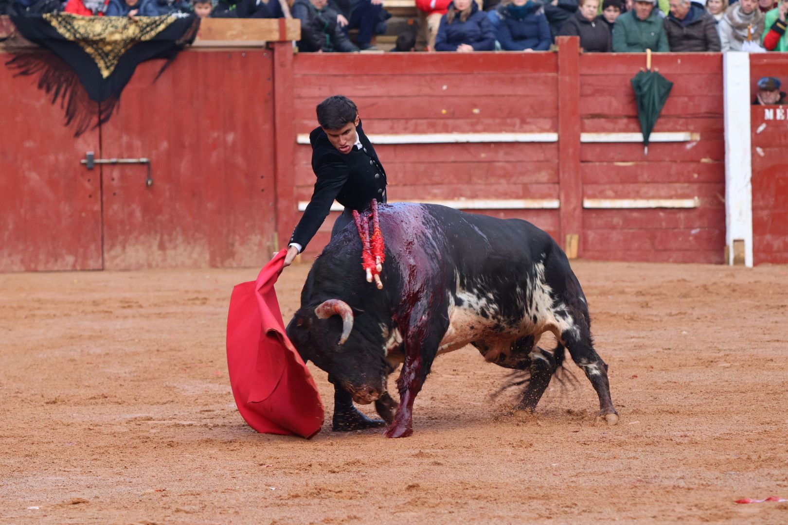 Festival Taurino en Ciudad Rodrigo, sábado, 10 de febrero. Fotos: Andrea M.