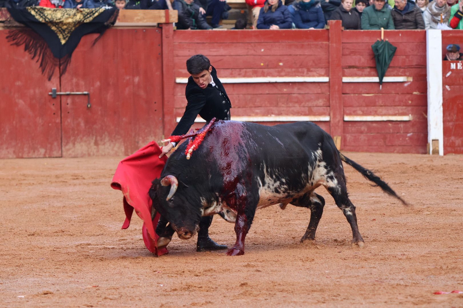 Festival Taurino en Ciudad Rodrigo, sábado, 10 de febrero. Fotos: Andrea M.