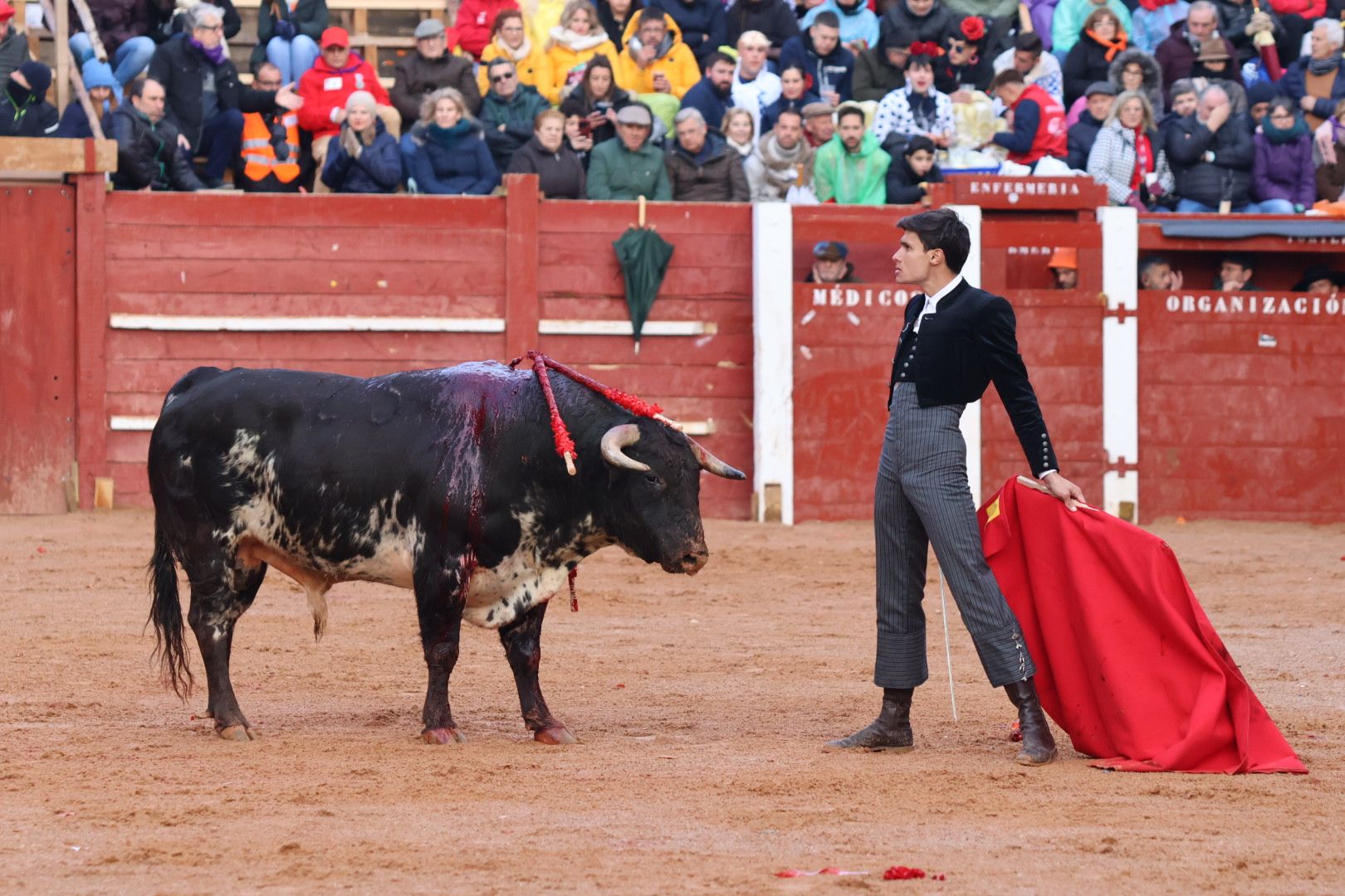 Festival Taurino en Ciudad Rodrigo, sábado, 10 de febrero. Fotos: Andrea M.