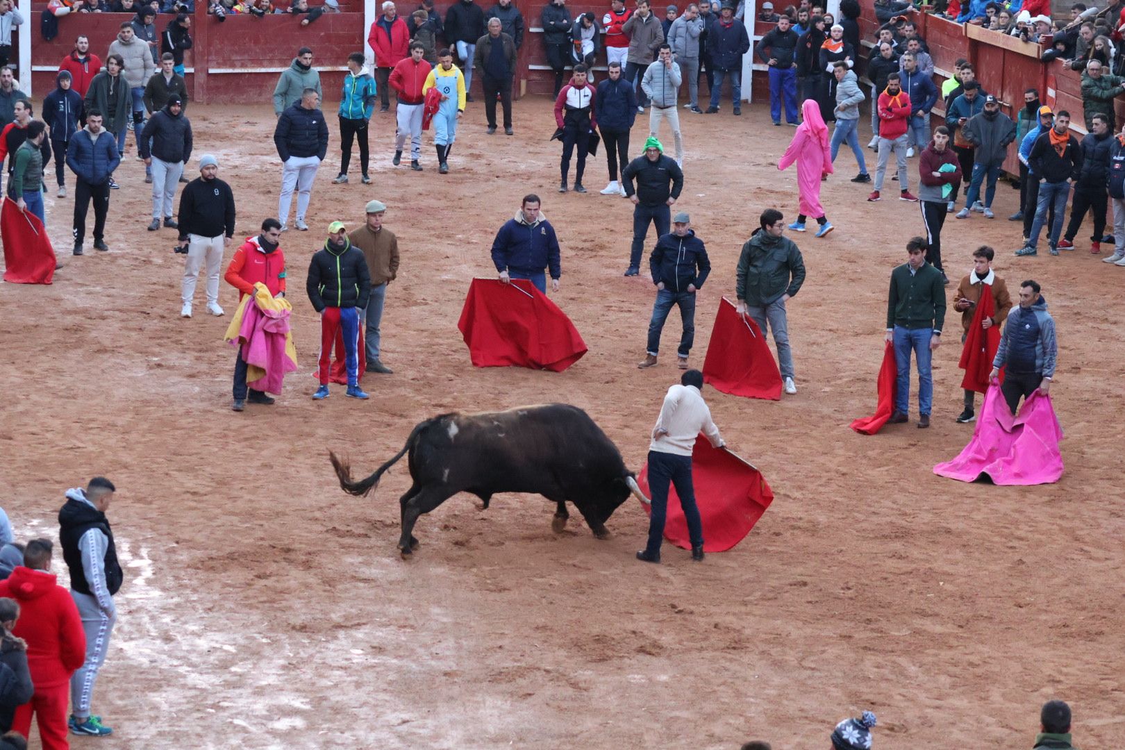 |Capea Carnaval Ciudad Rodrigo 2024,  sábado tarde