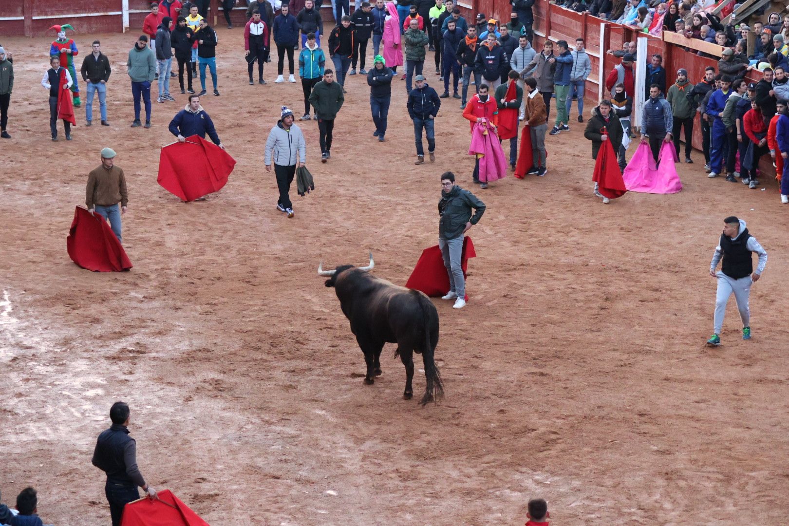 |Capea Carnaval Ciudad Rodrigo 2024,  sábado tarde