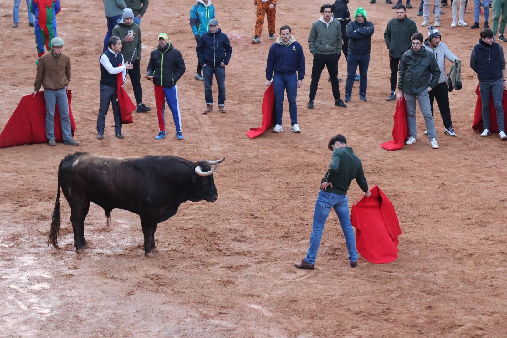 |Capea Carnaval Ciudad Rodrigo 2024,  sábado tarde